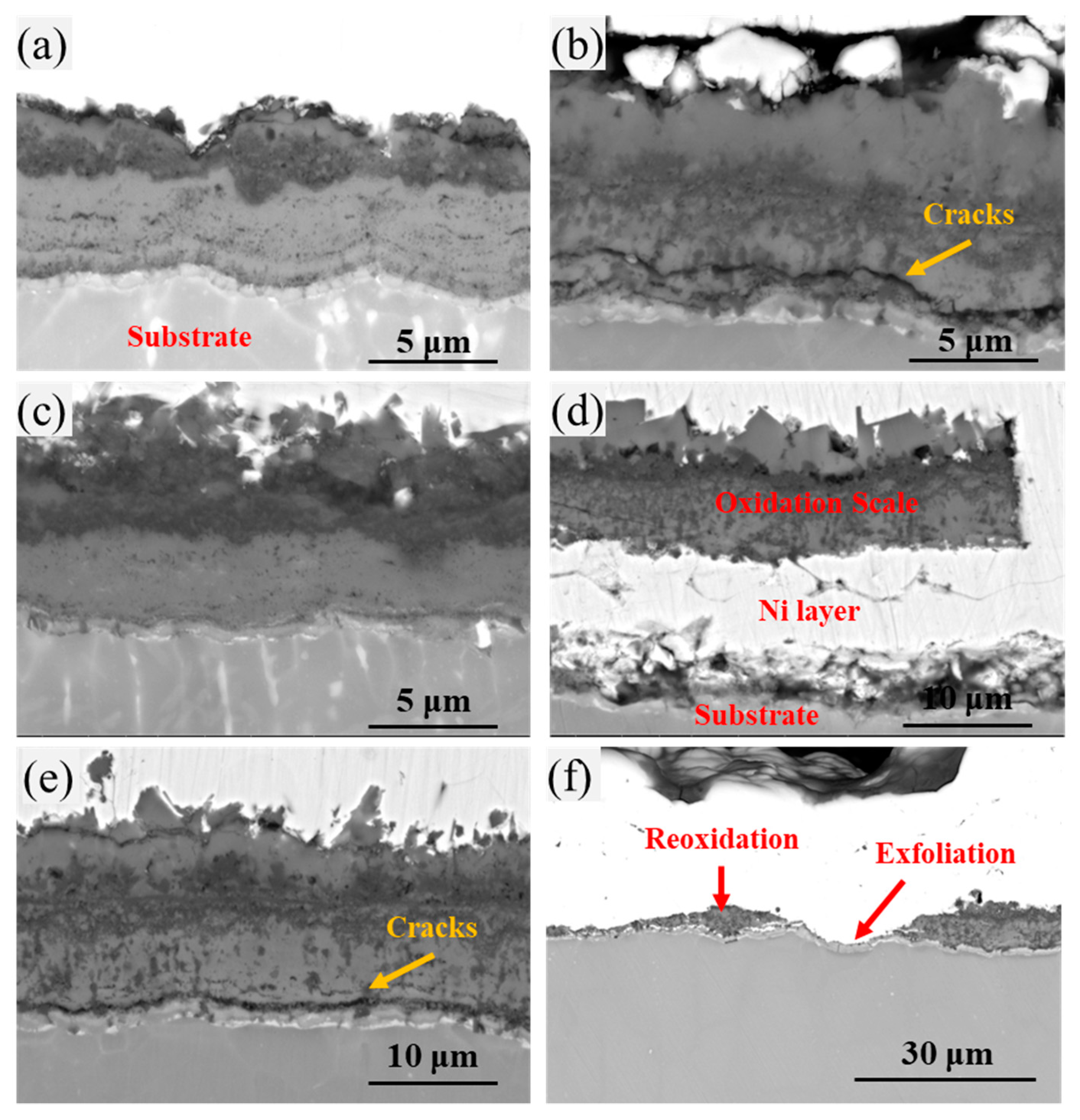 Metals 14 00028 g007