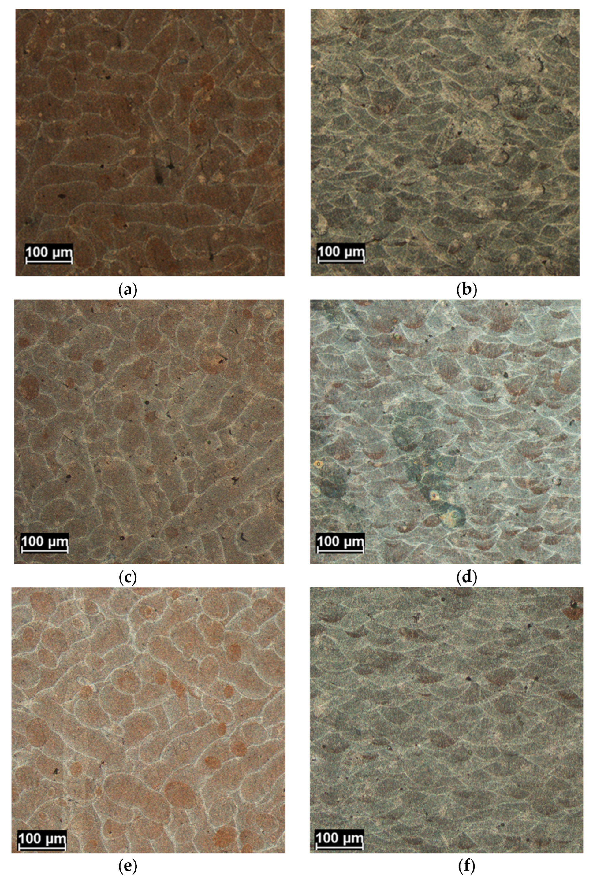 Metals 14 00076 g004