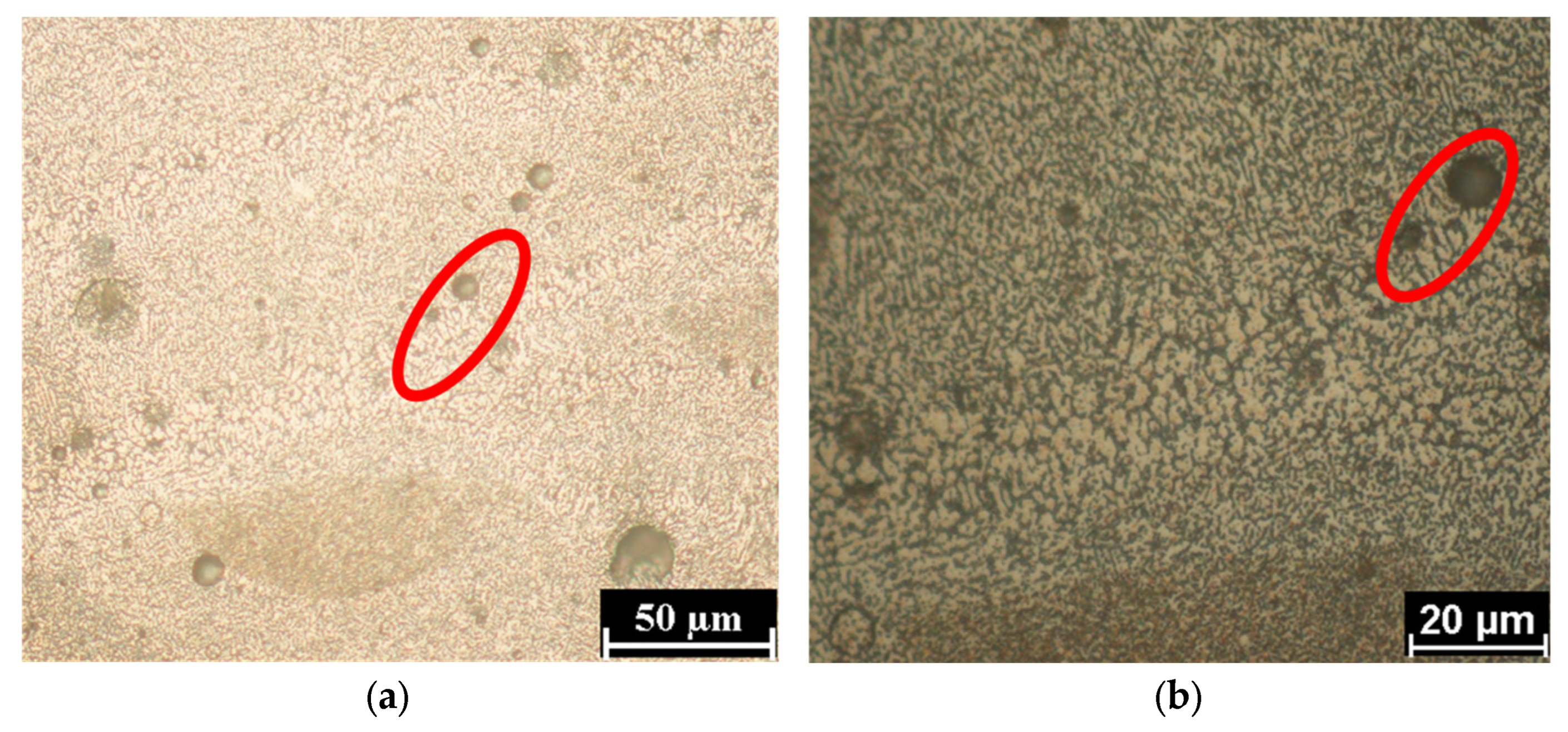 Metals 14 00076 g005