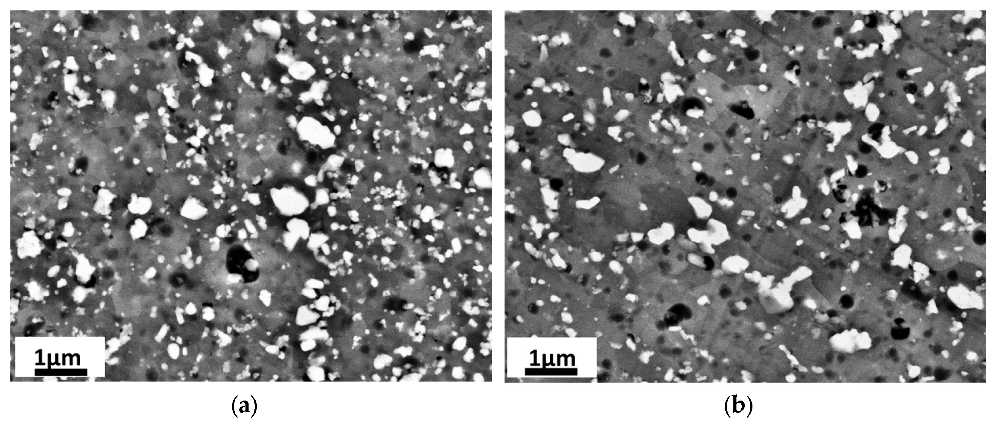 Metals 14 00076 g007