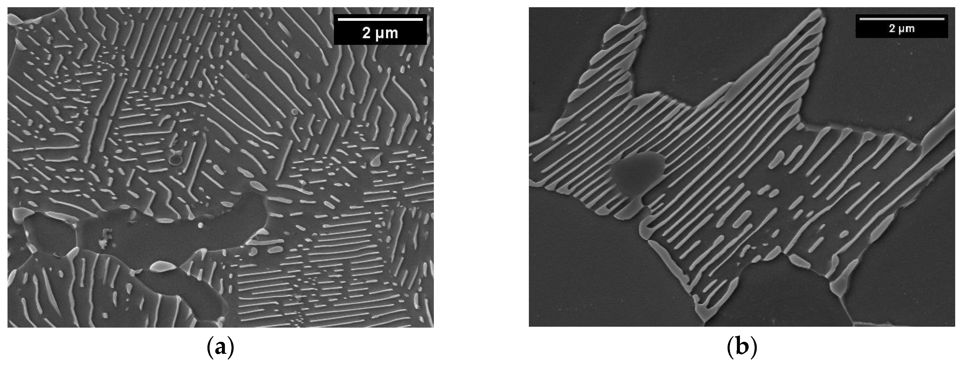 Metals 14 00092 g003