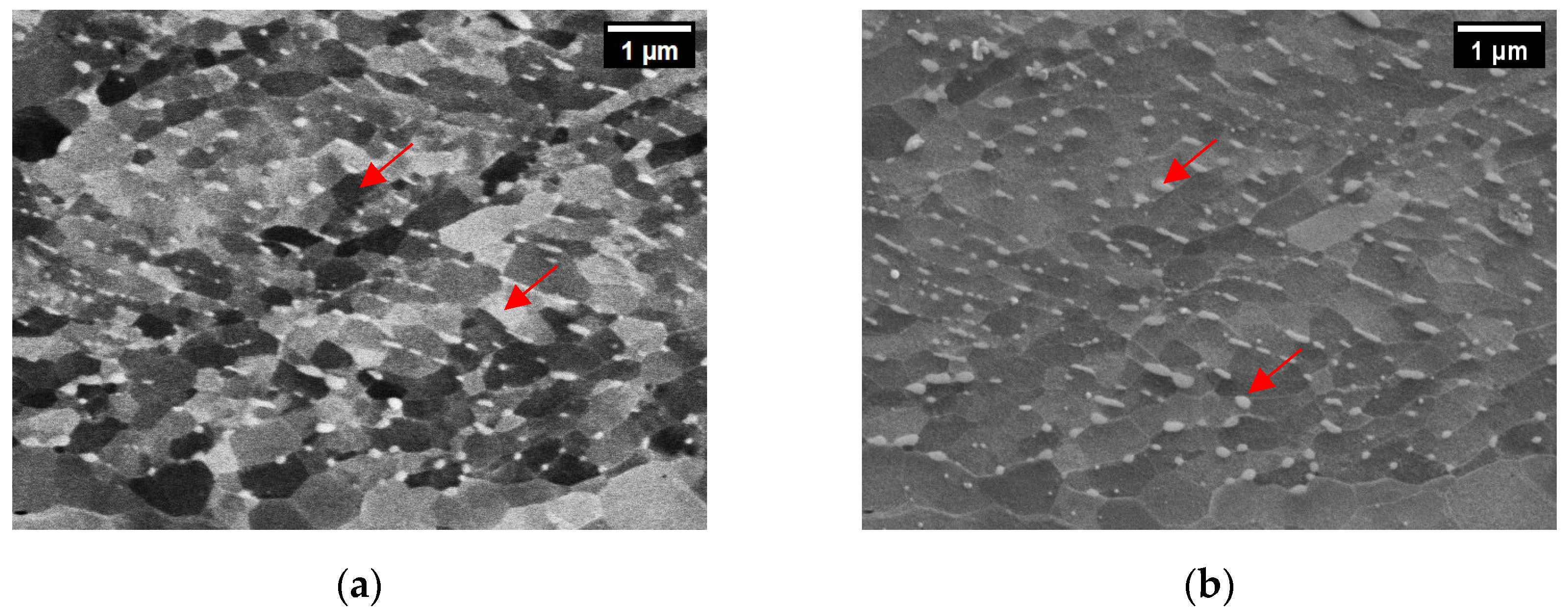 Metals 14 00092 g006