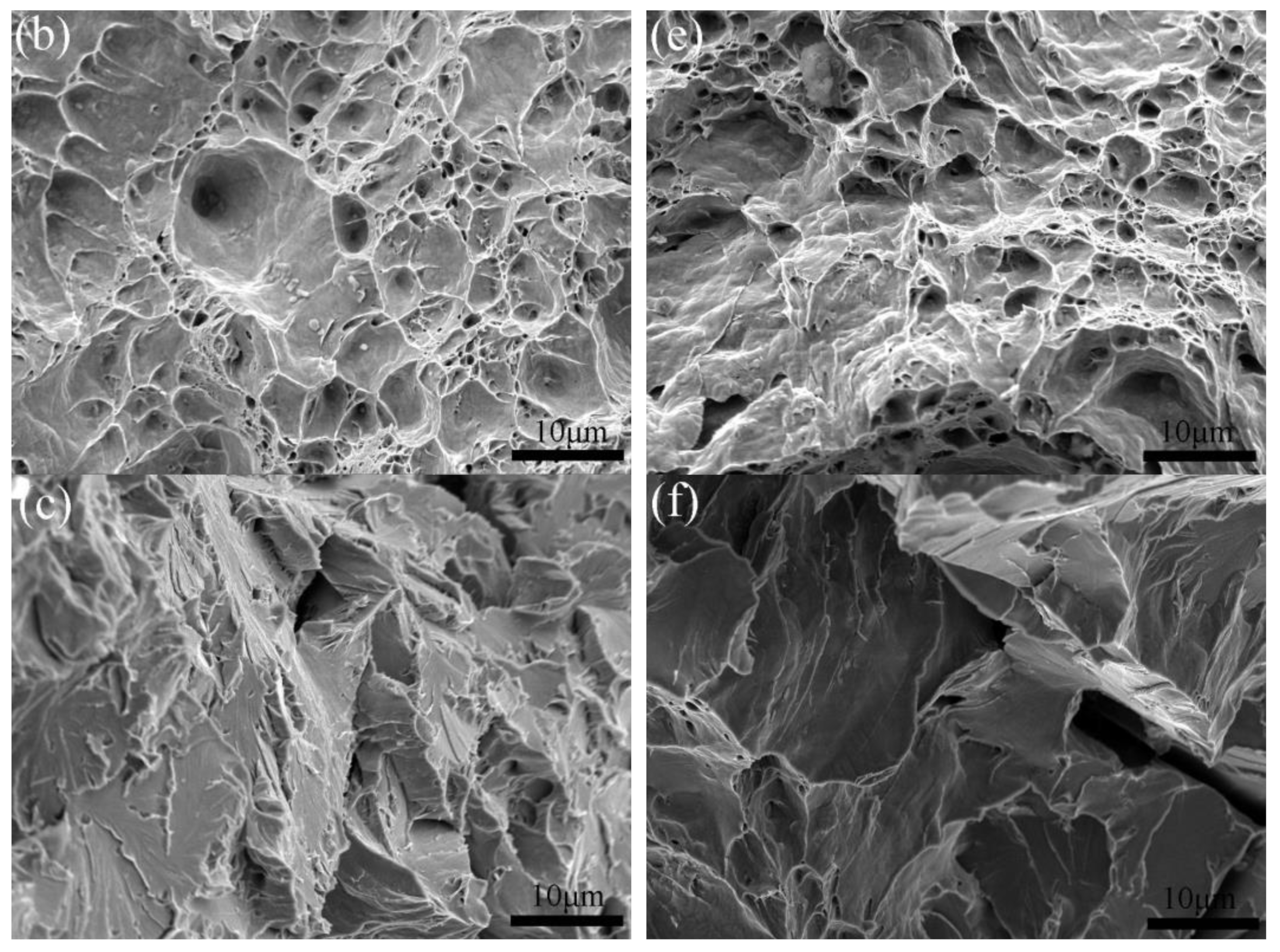 Metals 14 00209 g003b