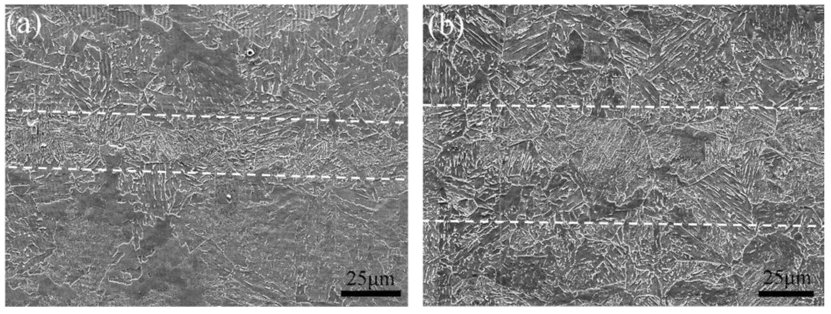 Metals 14 00209 g004a