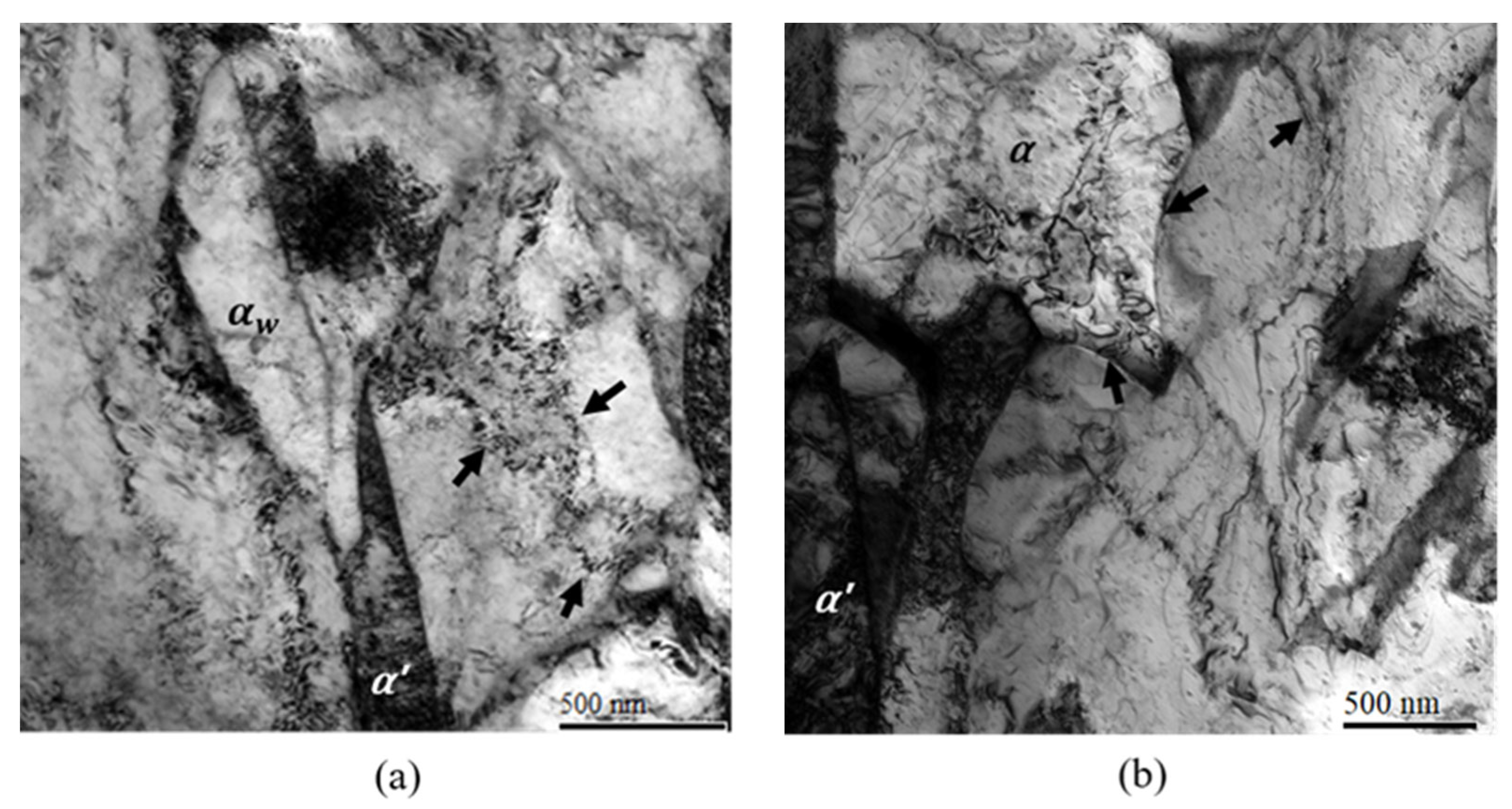 Metals 14 00283 g009