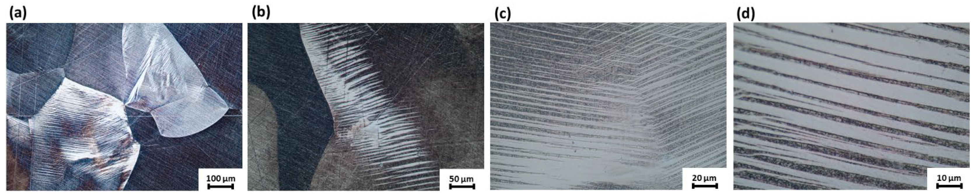 Metals 14 00323 g006