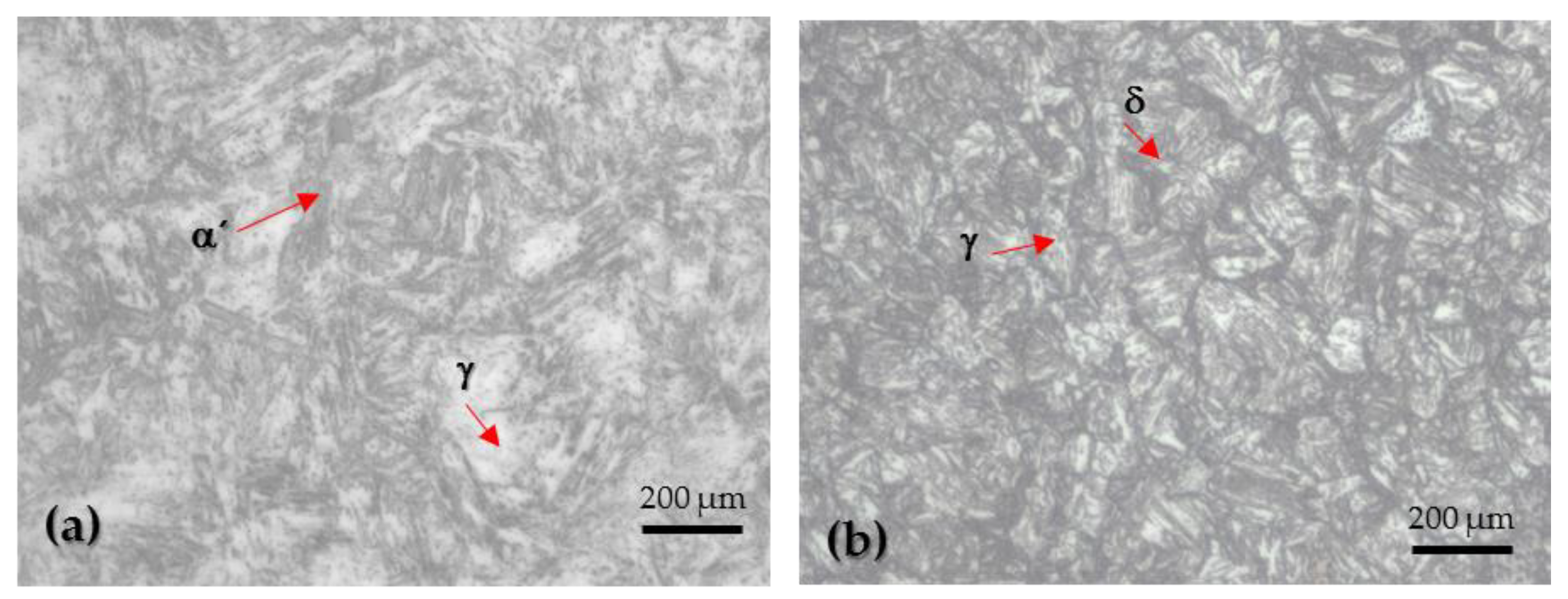 Metals 14 00341 g002