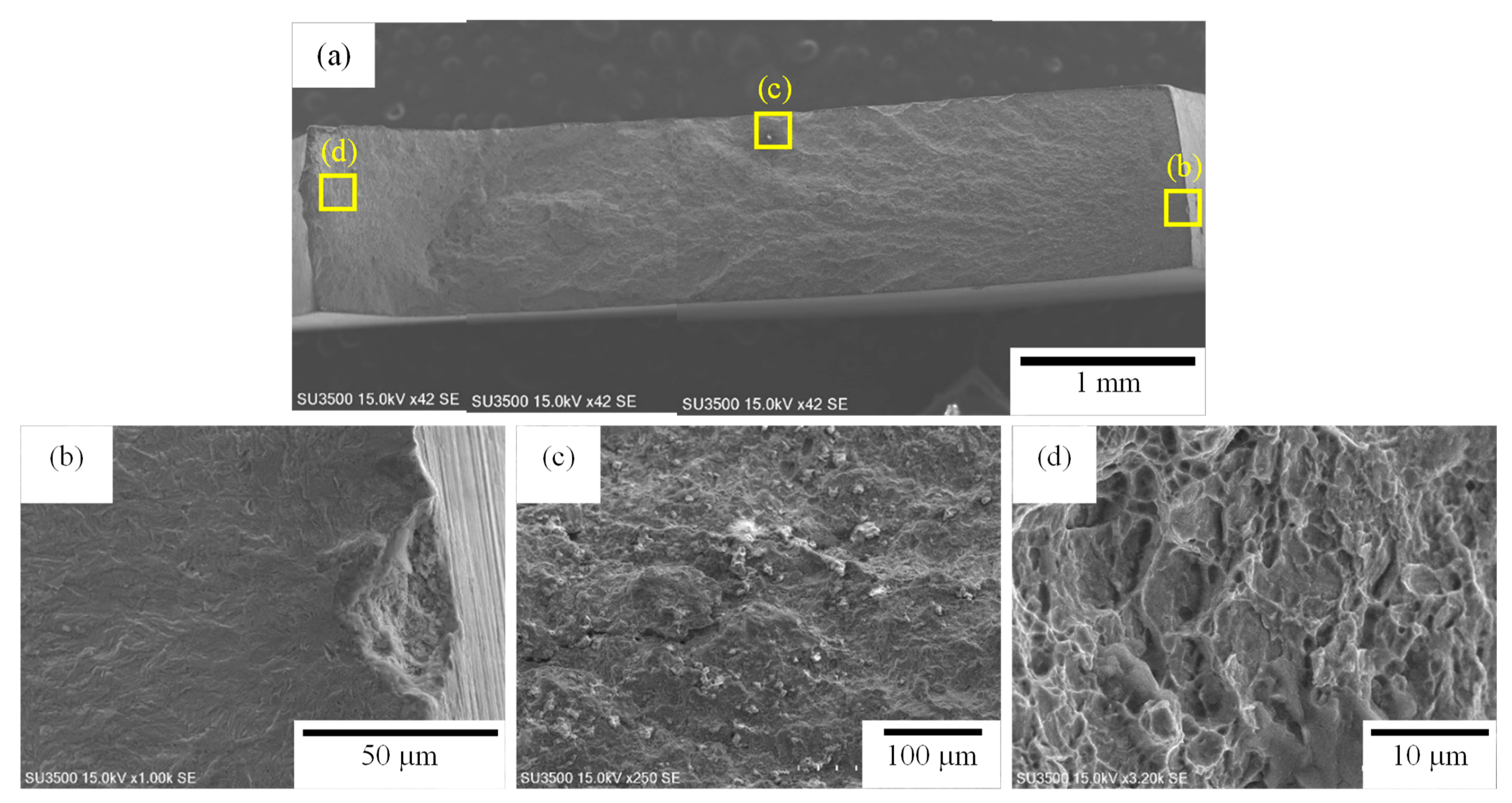 Metals 14 00346 g015