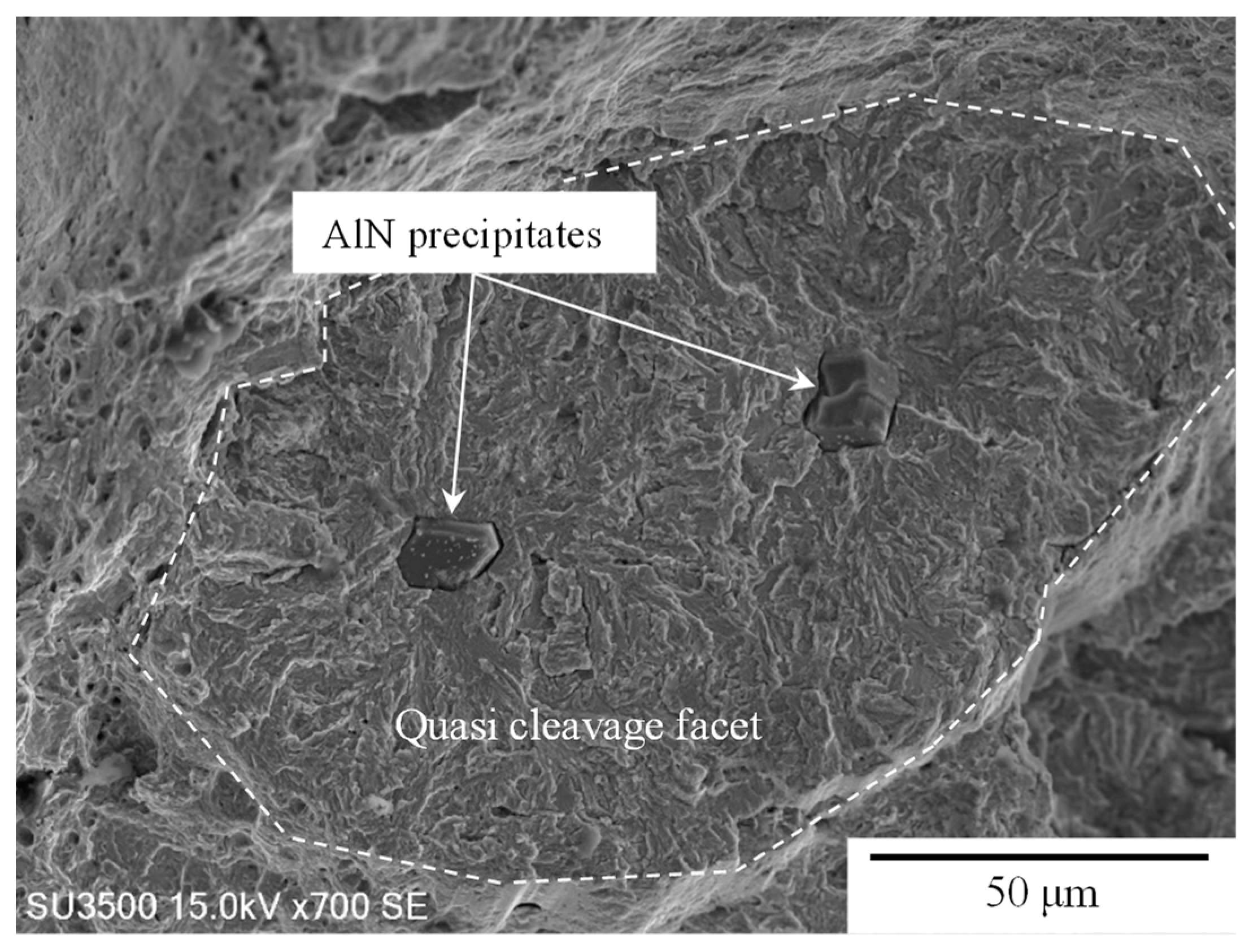 Metals 14 00346 g020