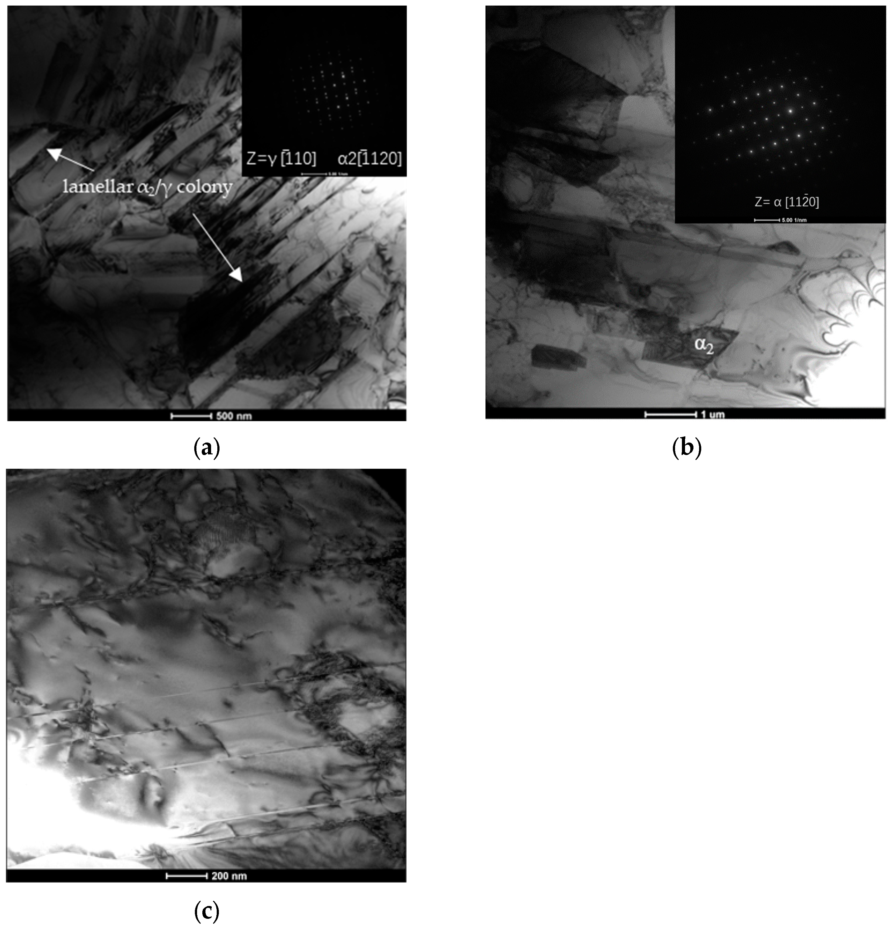 Metals 14 00482 g007