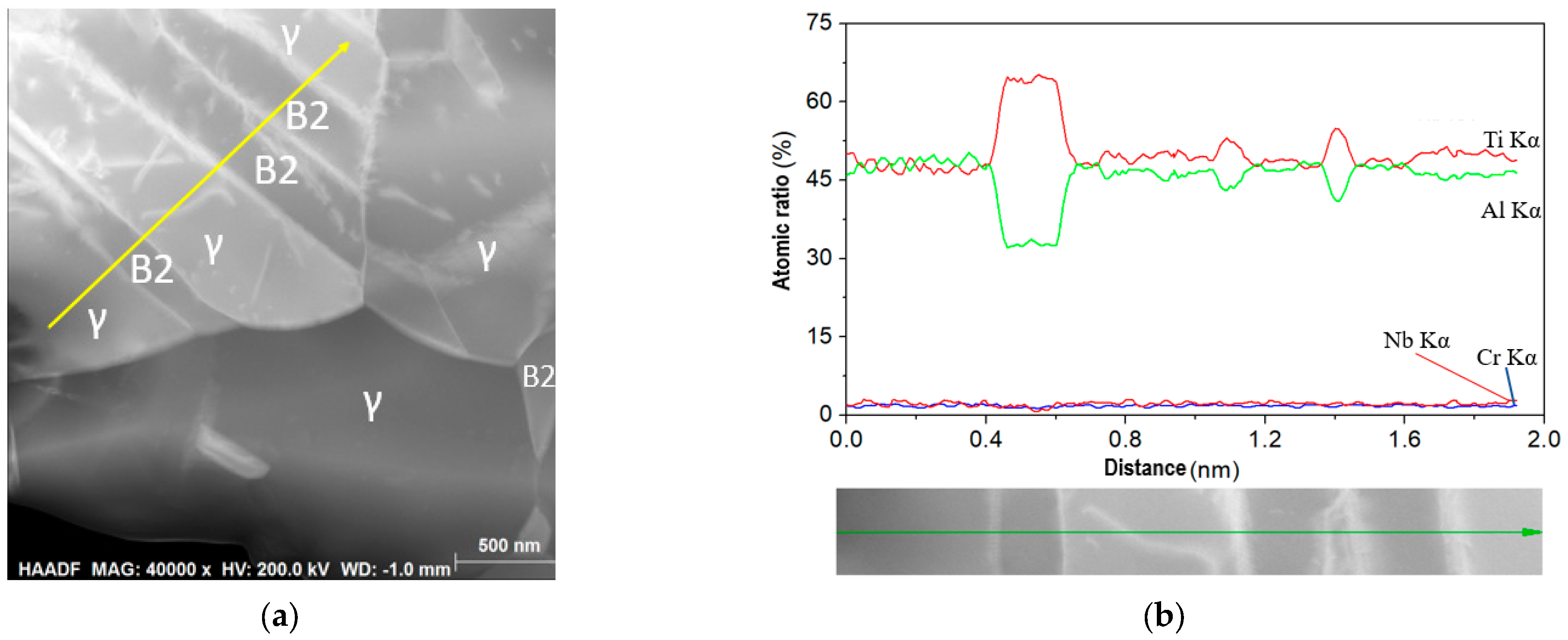 Metals 14 00482 g008