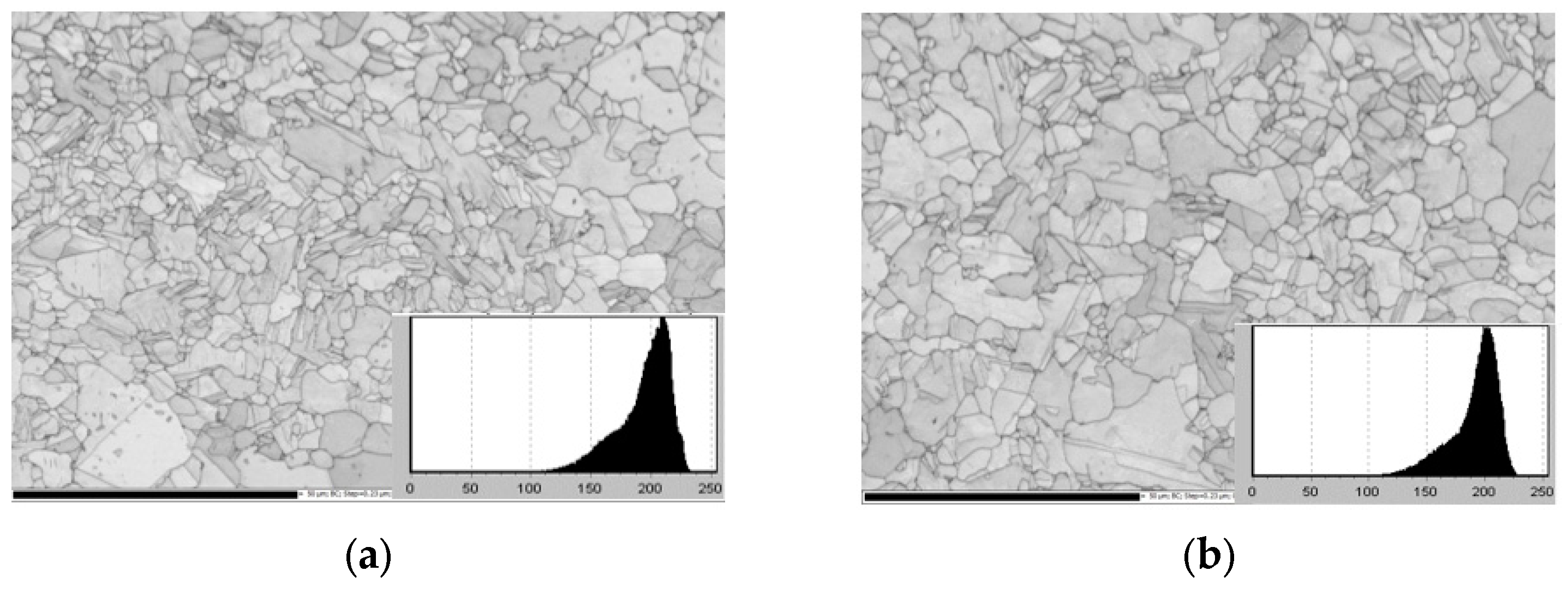 Metals 14 00482 g013