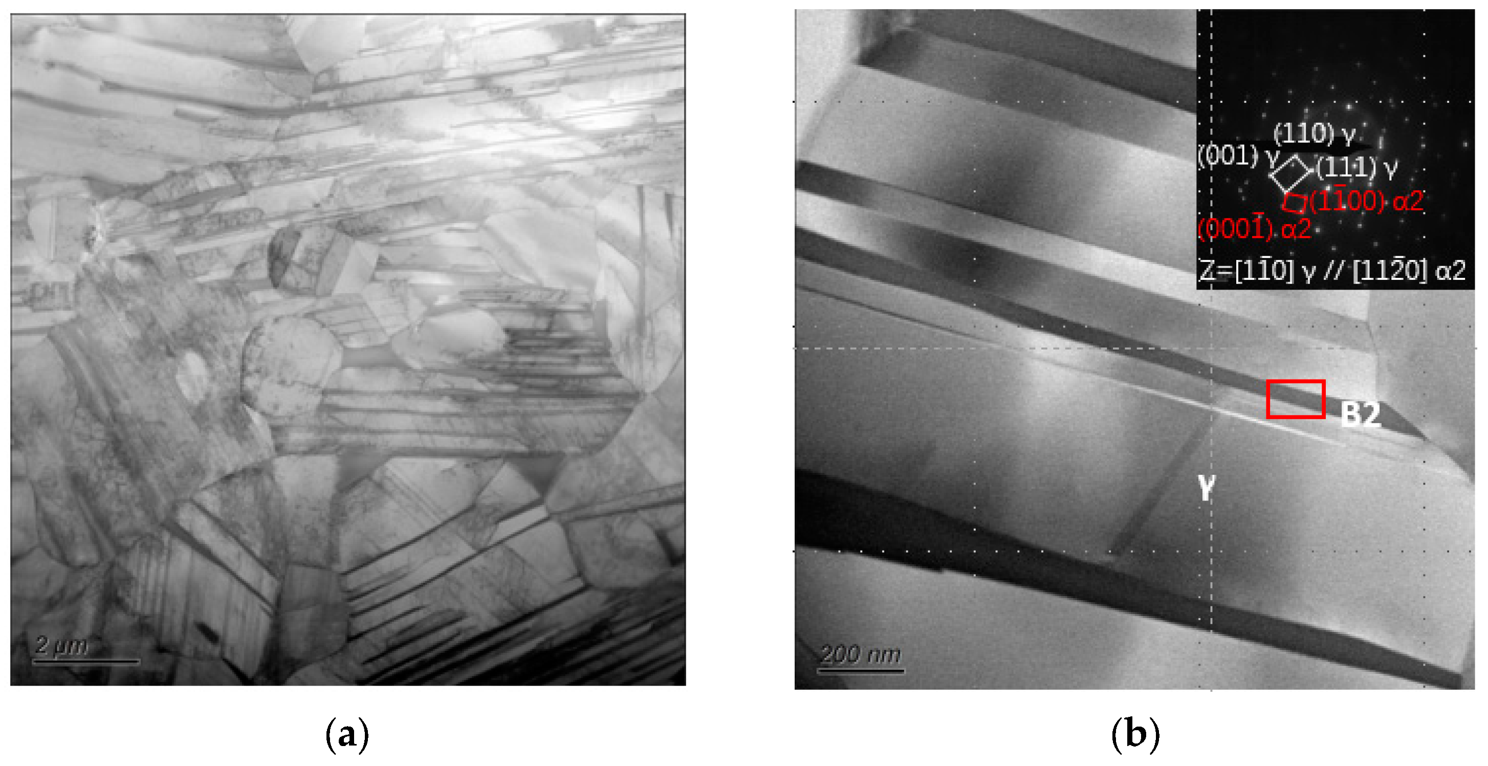 Metals 14 00482 g020a