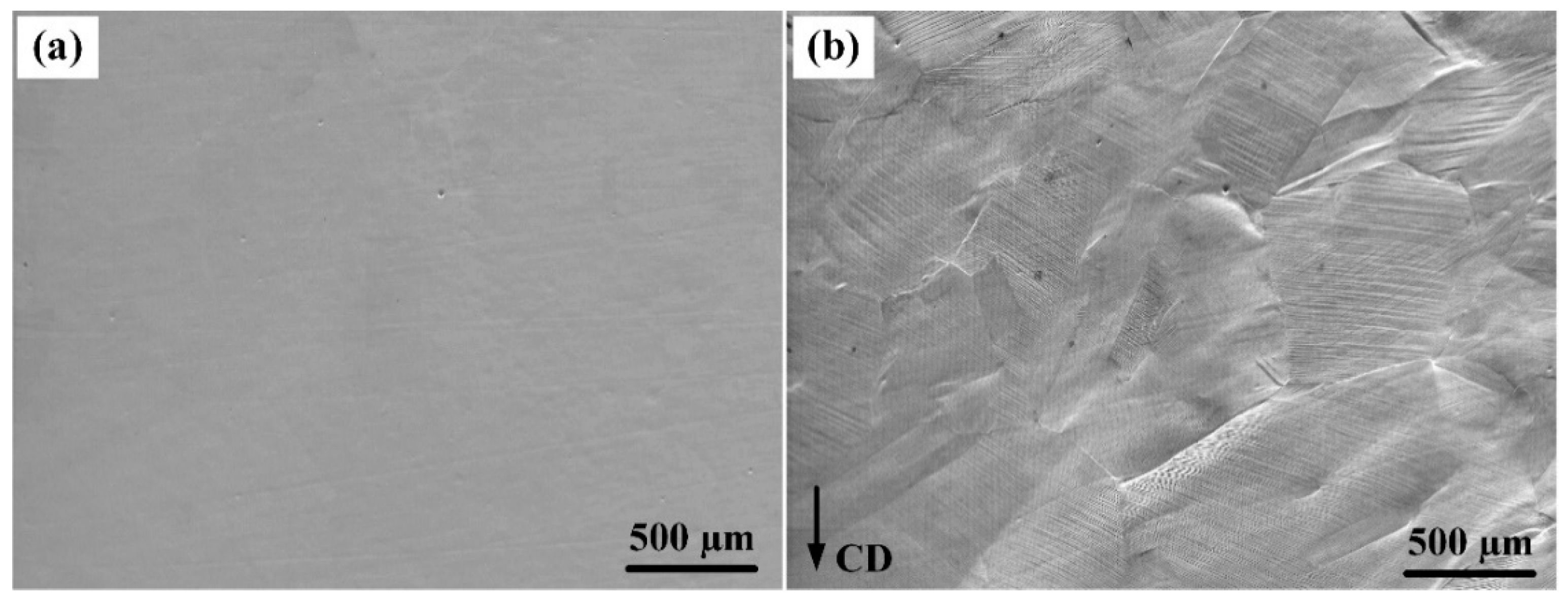 Metals 14 00491 g003