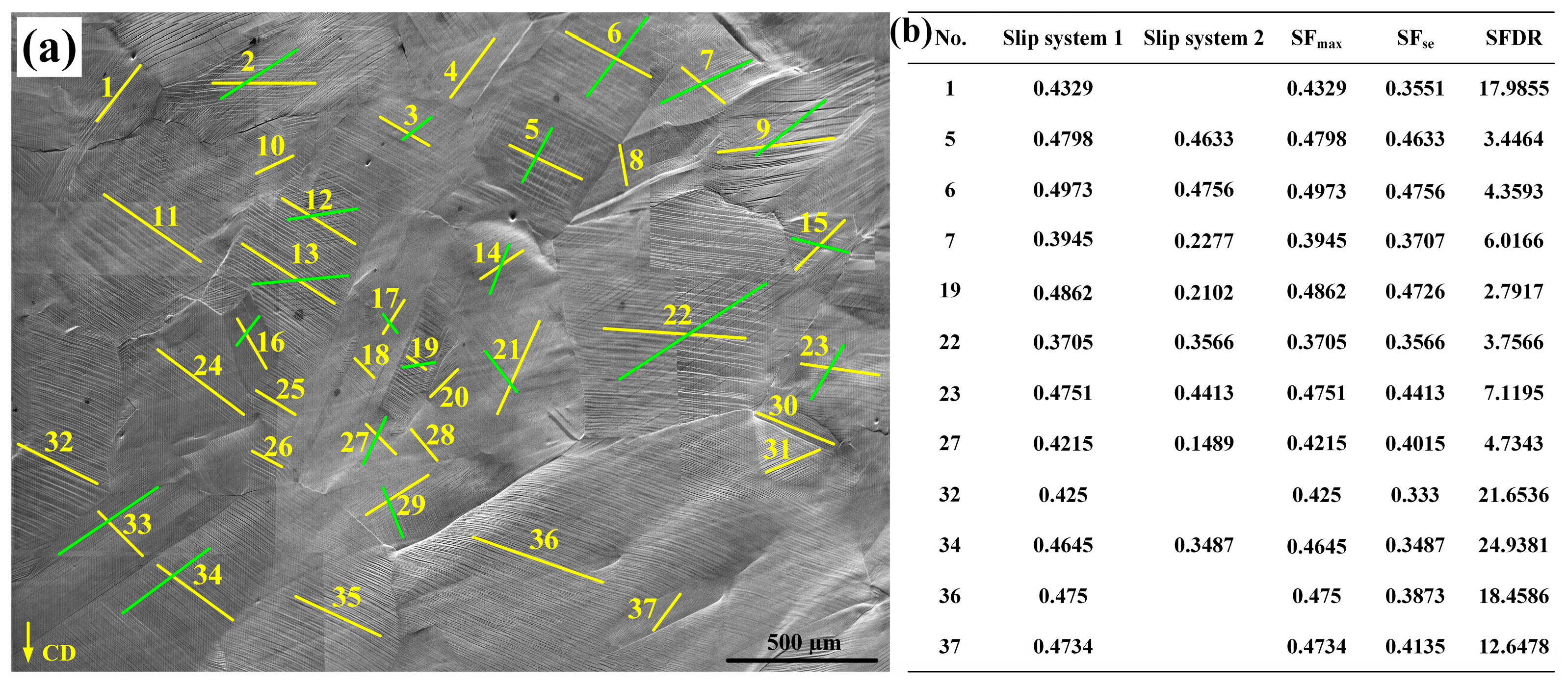 Metals 14 00491 g009