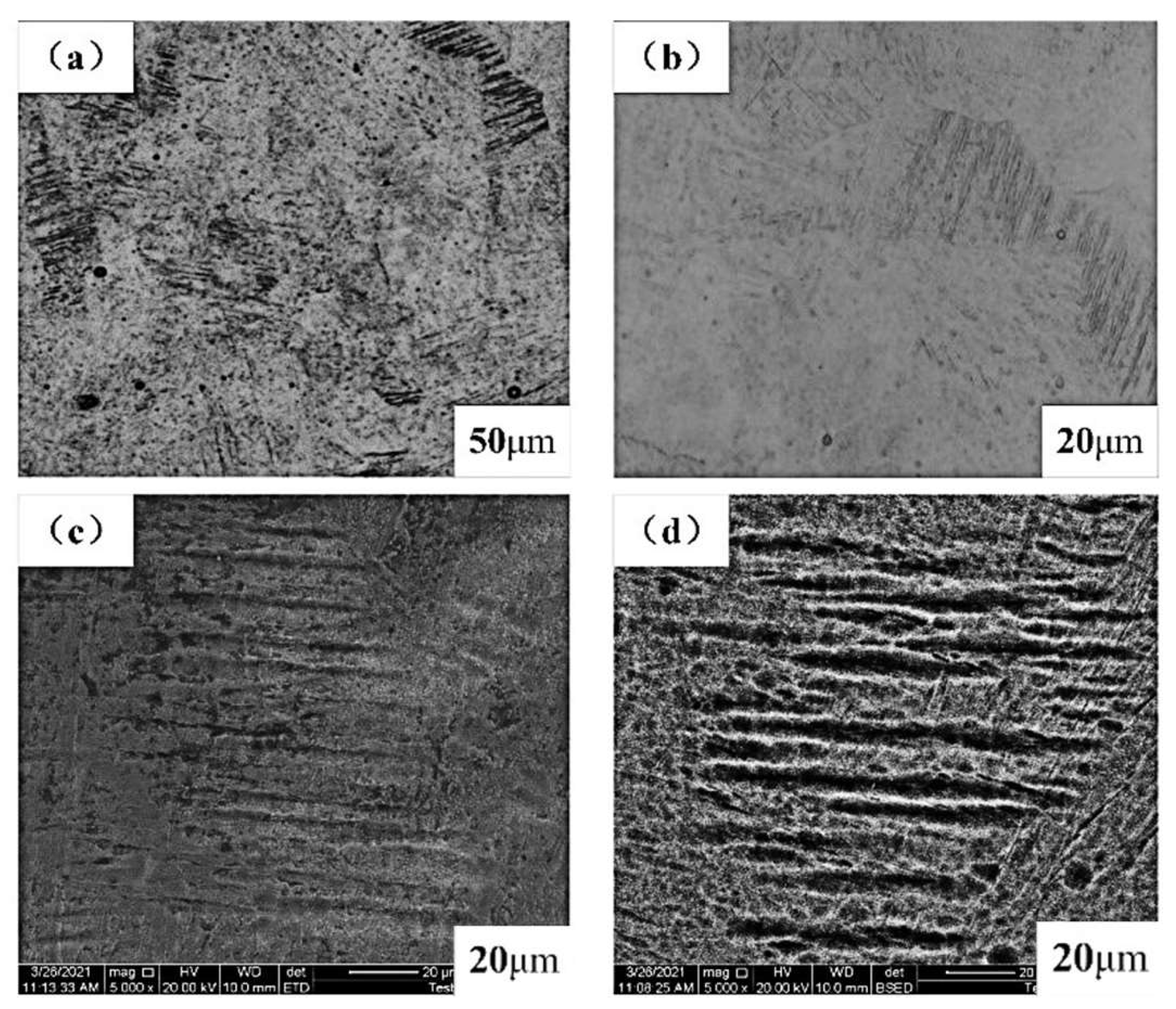 Metals 14 00492 g005