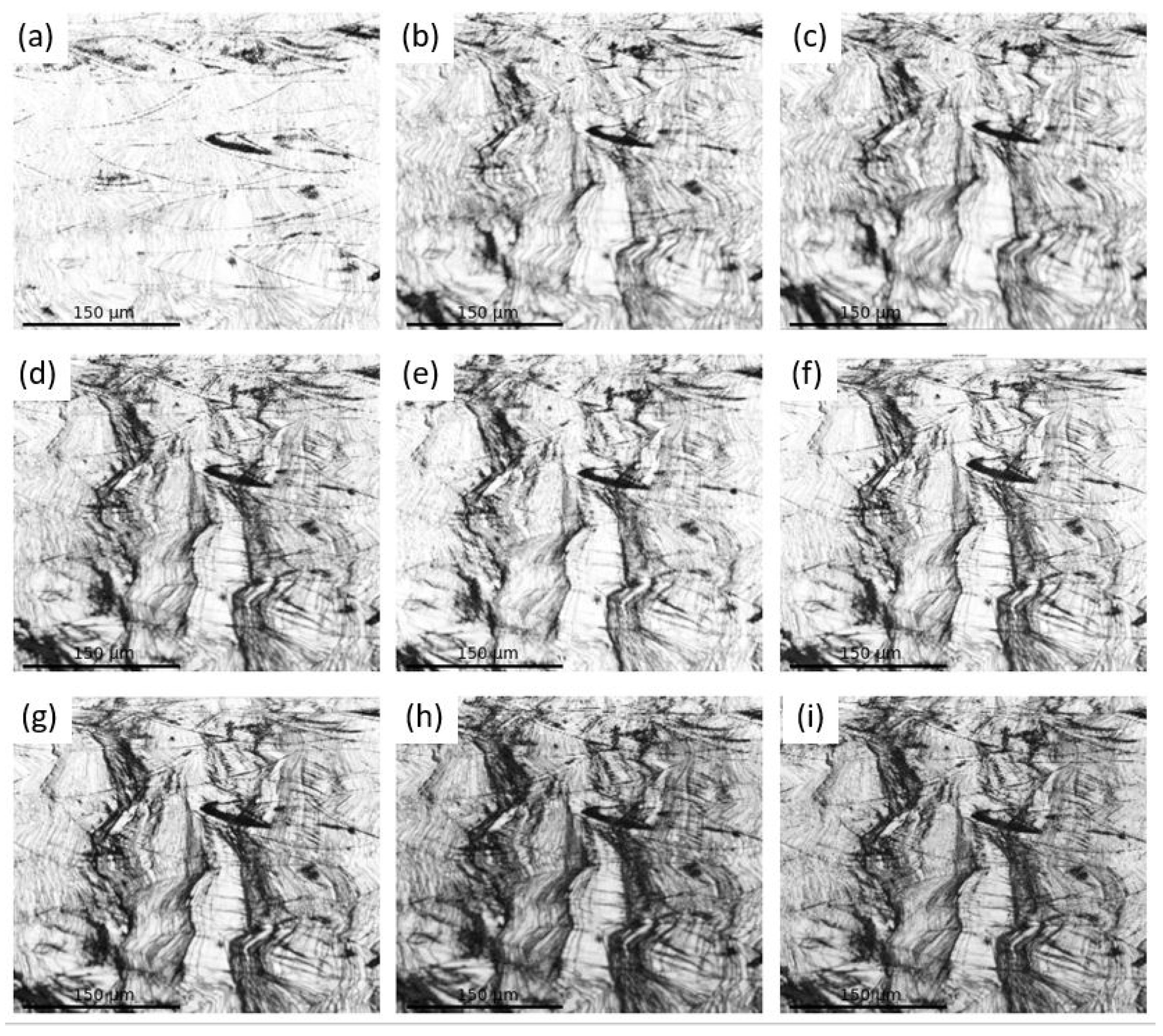 Metals 14 00496 g015