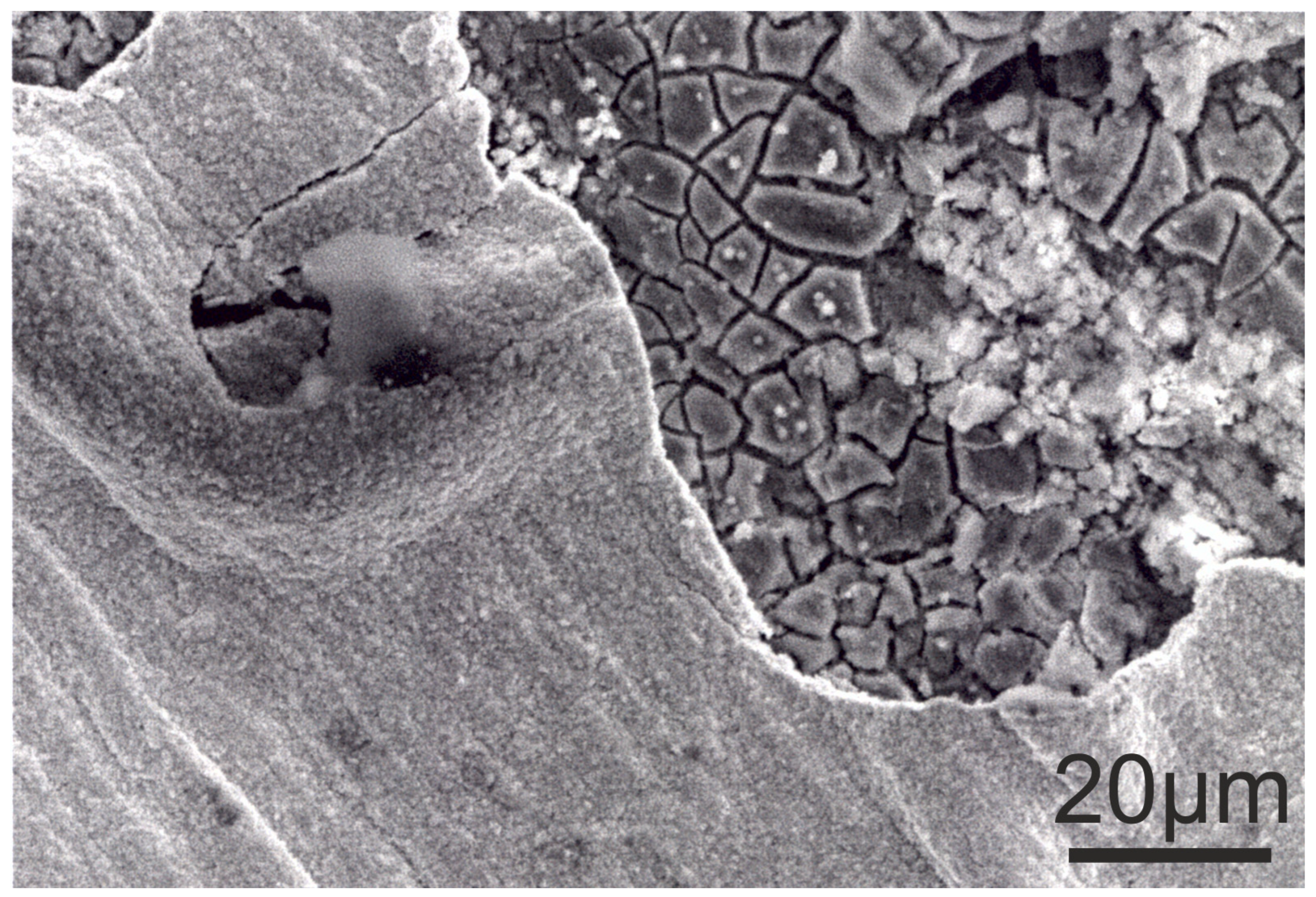 Metals 14 00524 g010