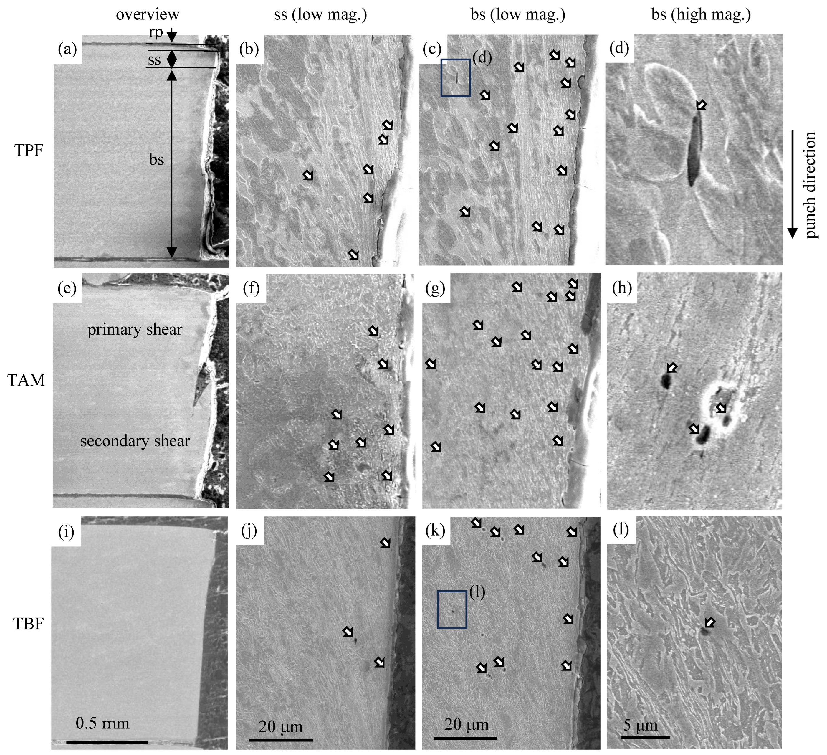 Metals 14 00531 g013
