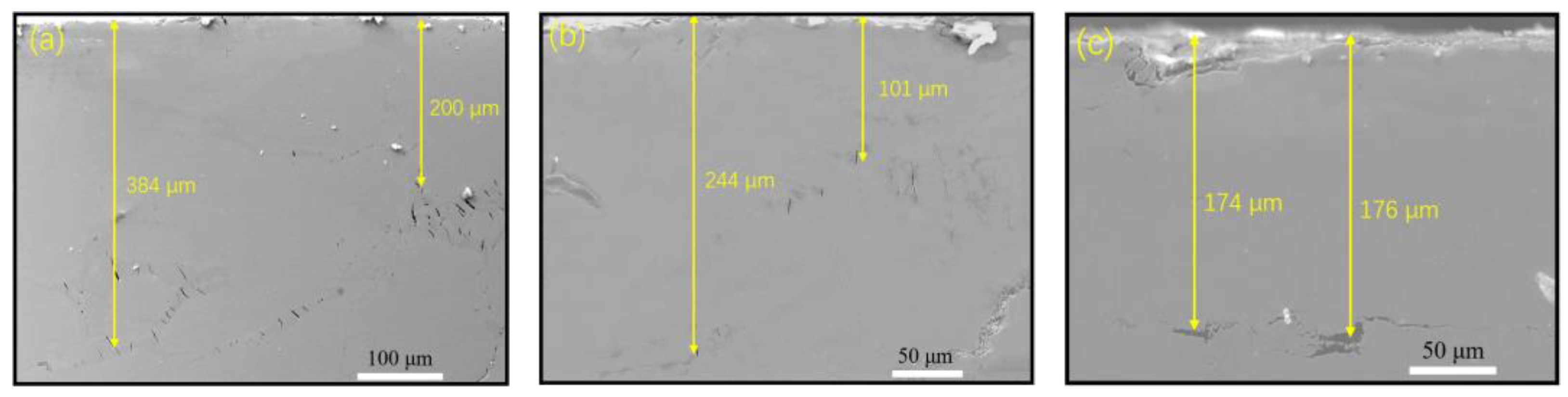 Metals 14 00548 g010