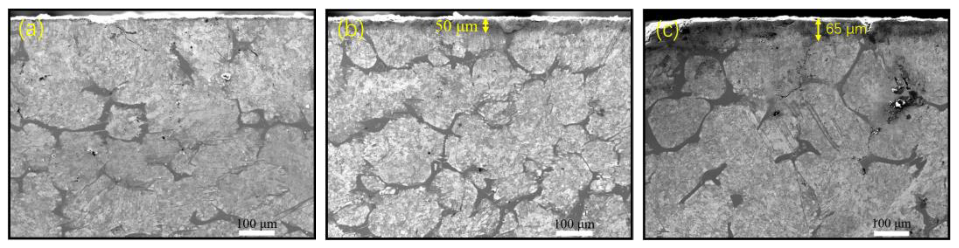 Metals 14 00548 g015