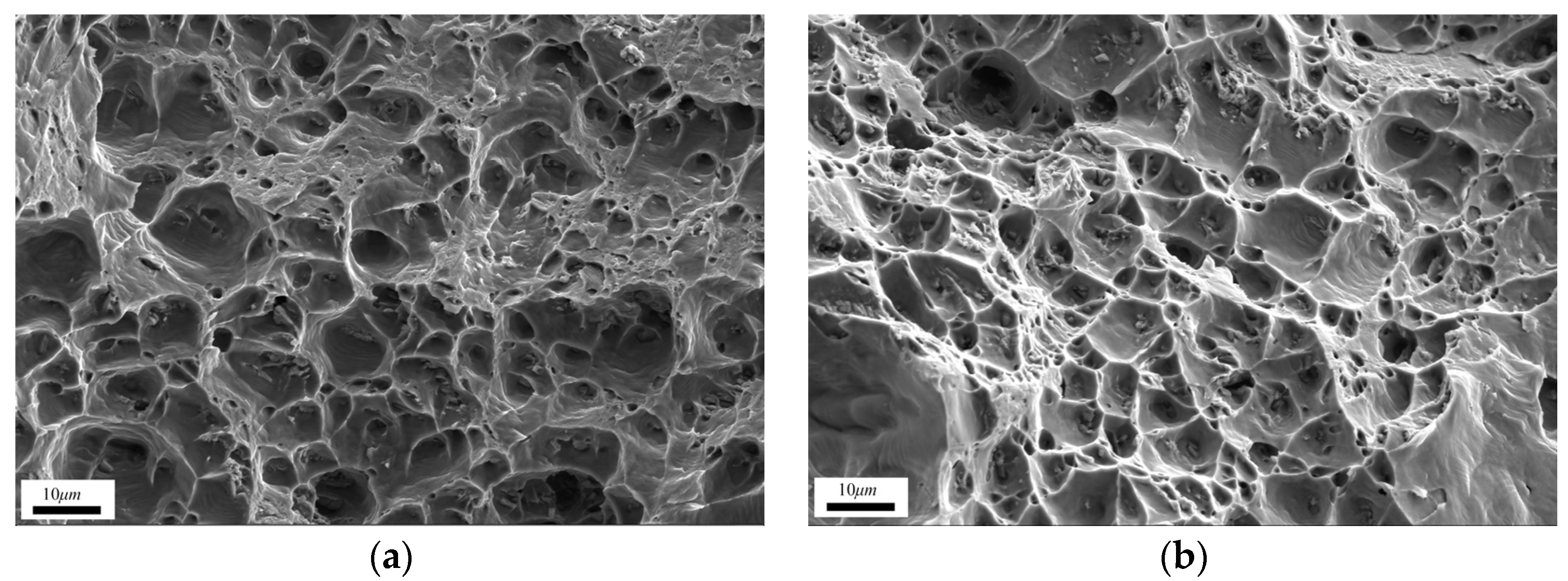 Metals 14 00549 g009