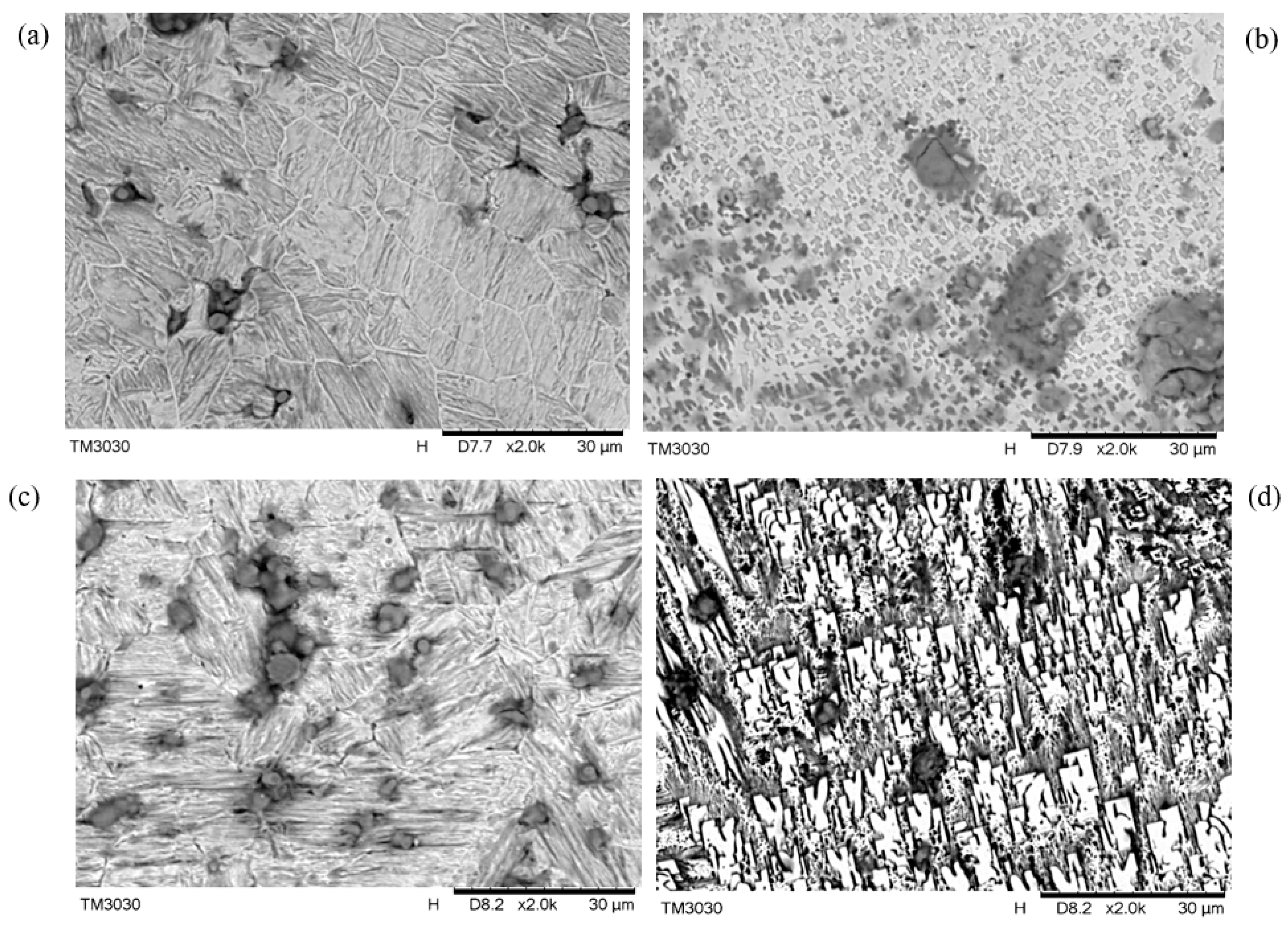 Metals 14 00585 g006