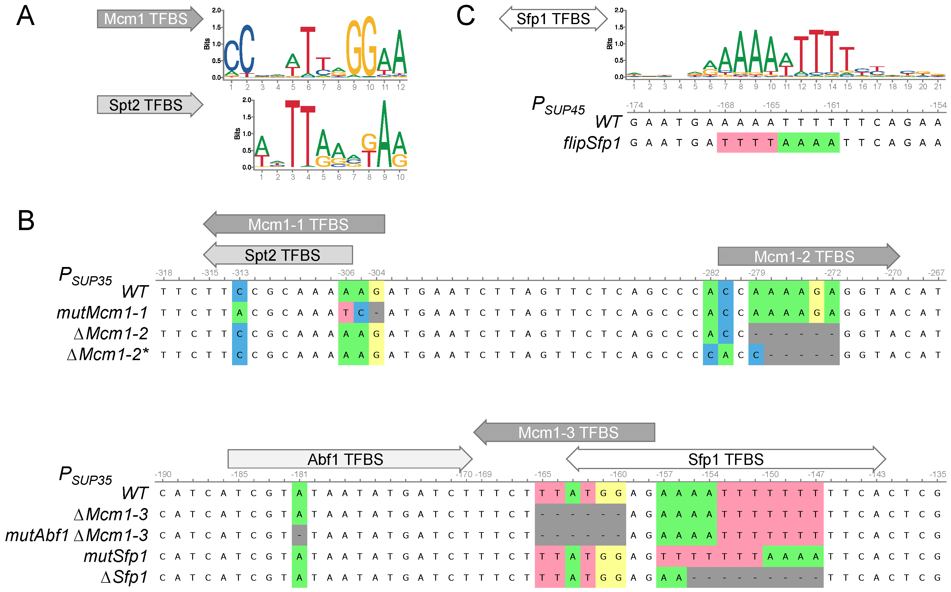 Microbiolres 15 00034 g002