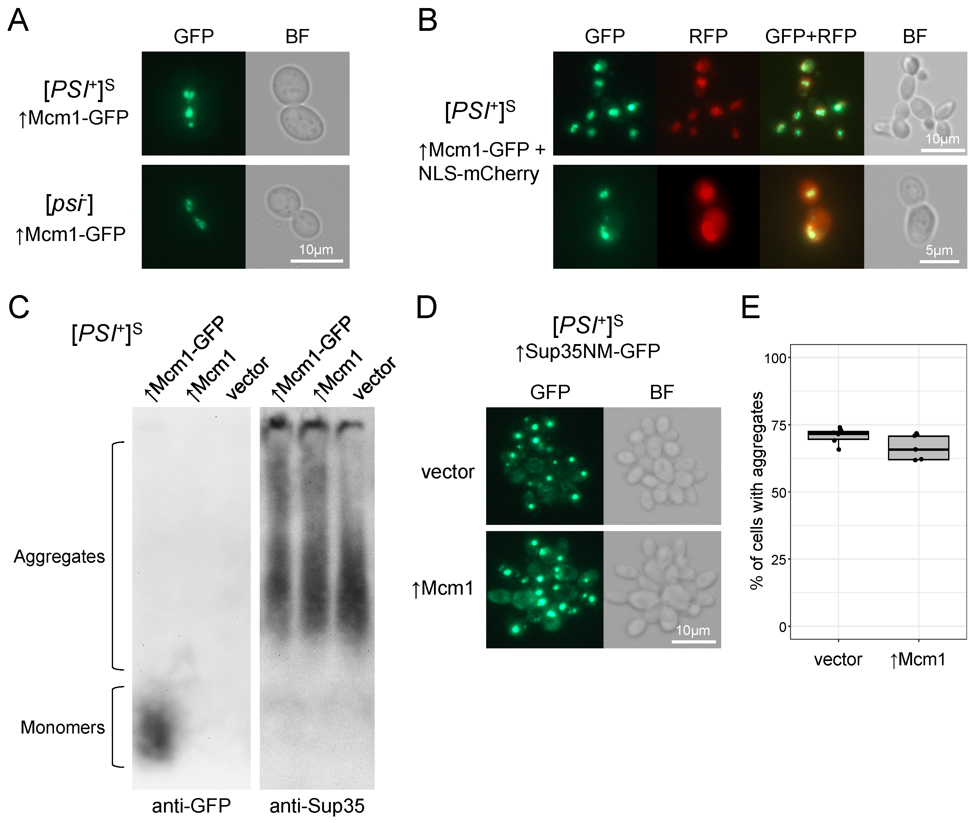Microbiolres 15 00034 g005