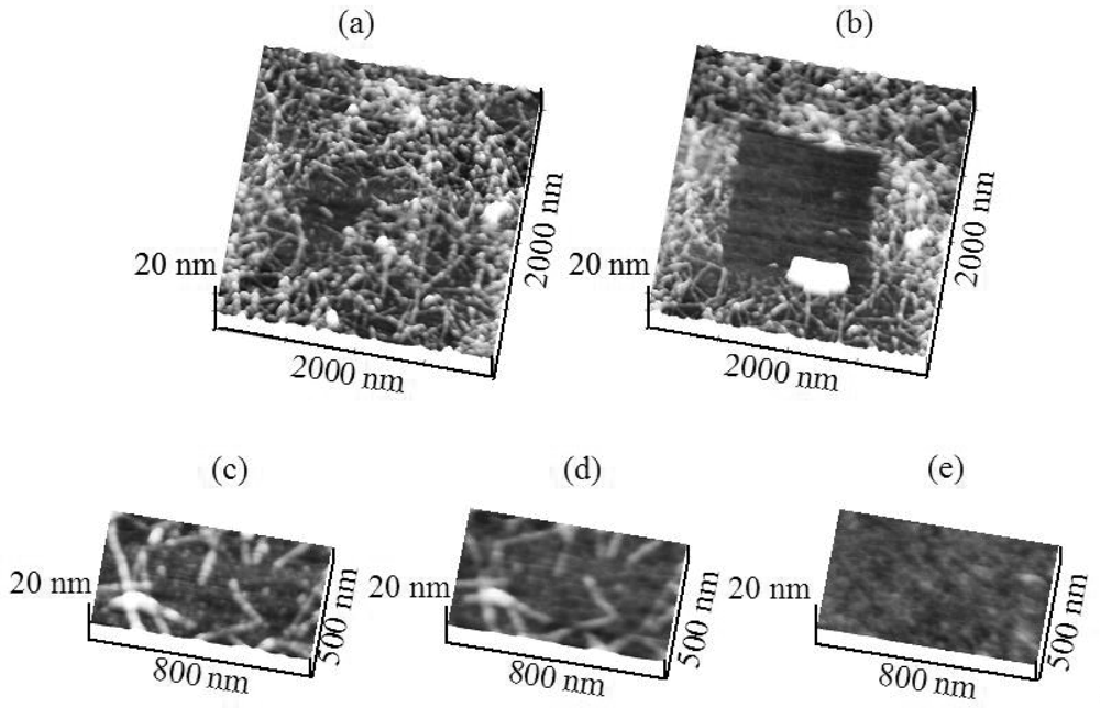 Micromachines 02 00001f2 1024
