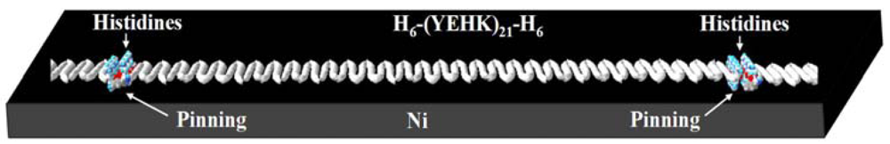 Micromachines 02 00001f9 1024