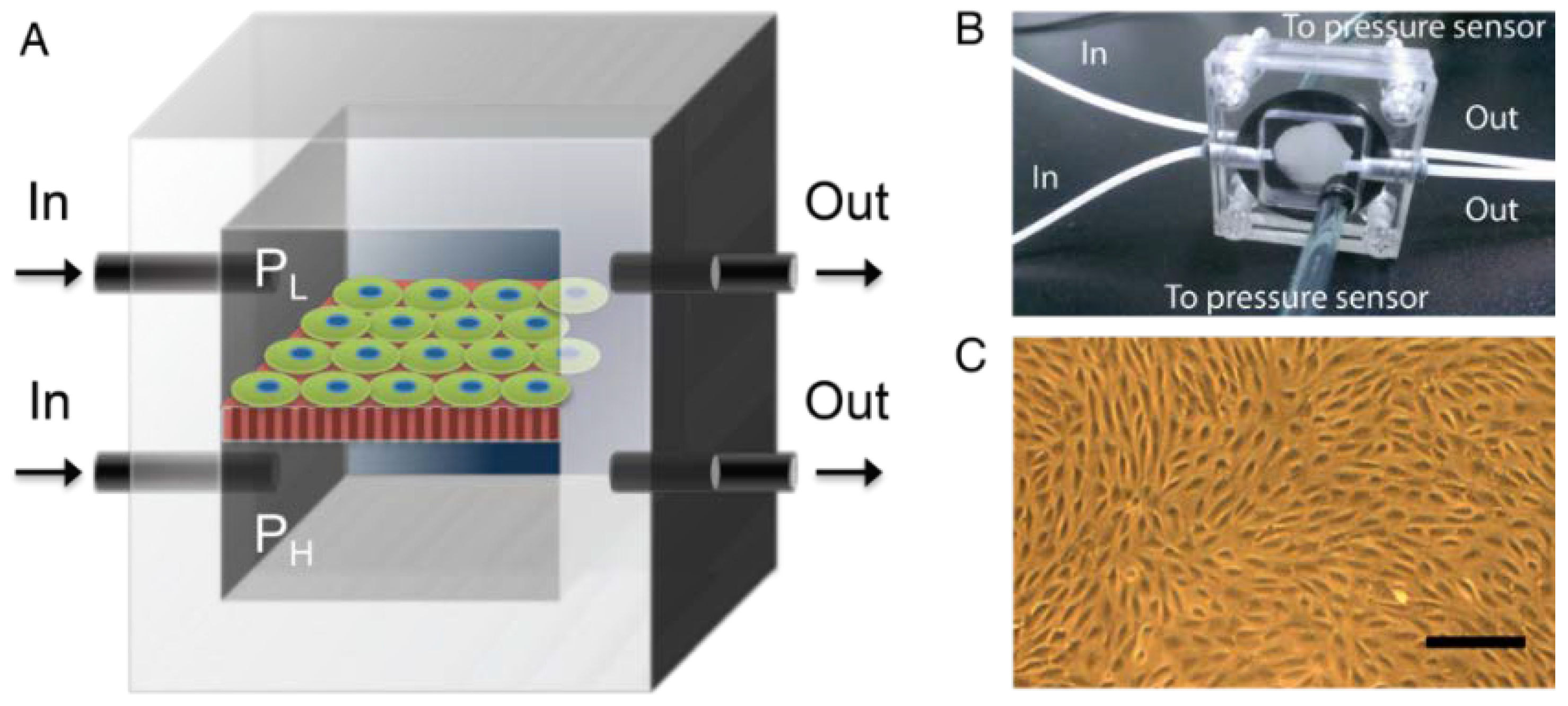 Micromachines 09 00228 g001
