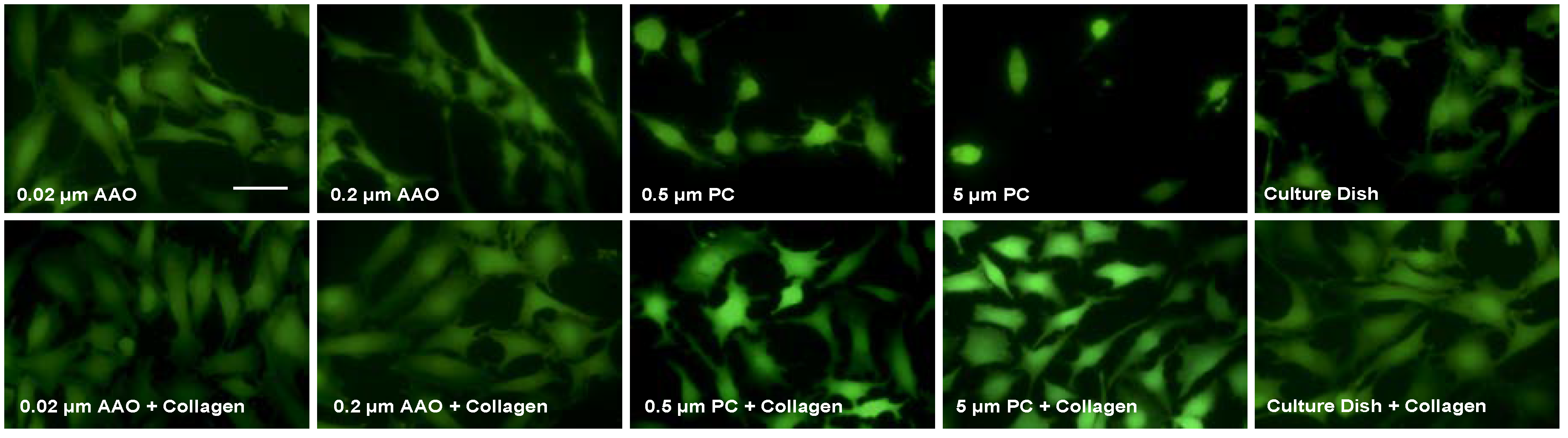 Micromachines 09 00228 g003