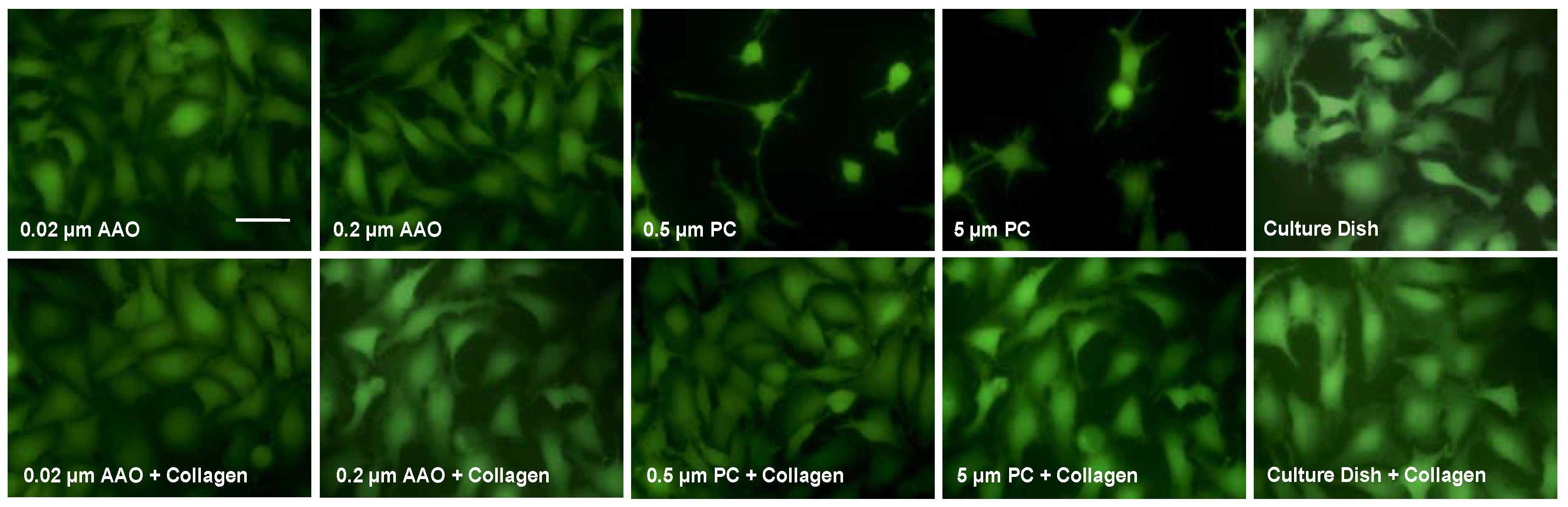 Micromachines 09 00228 g004