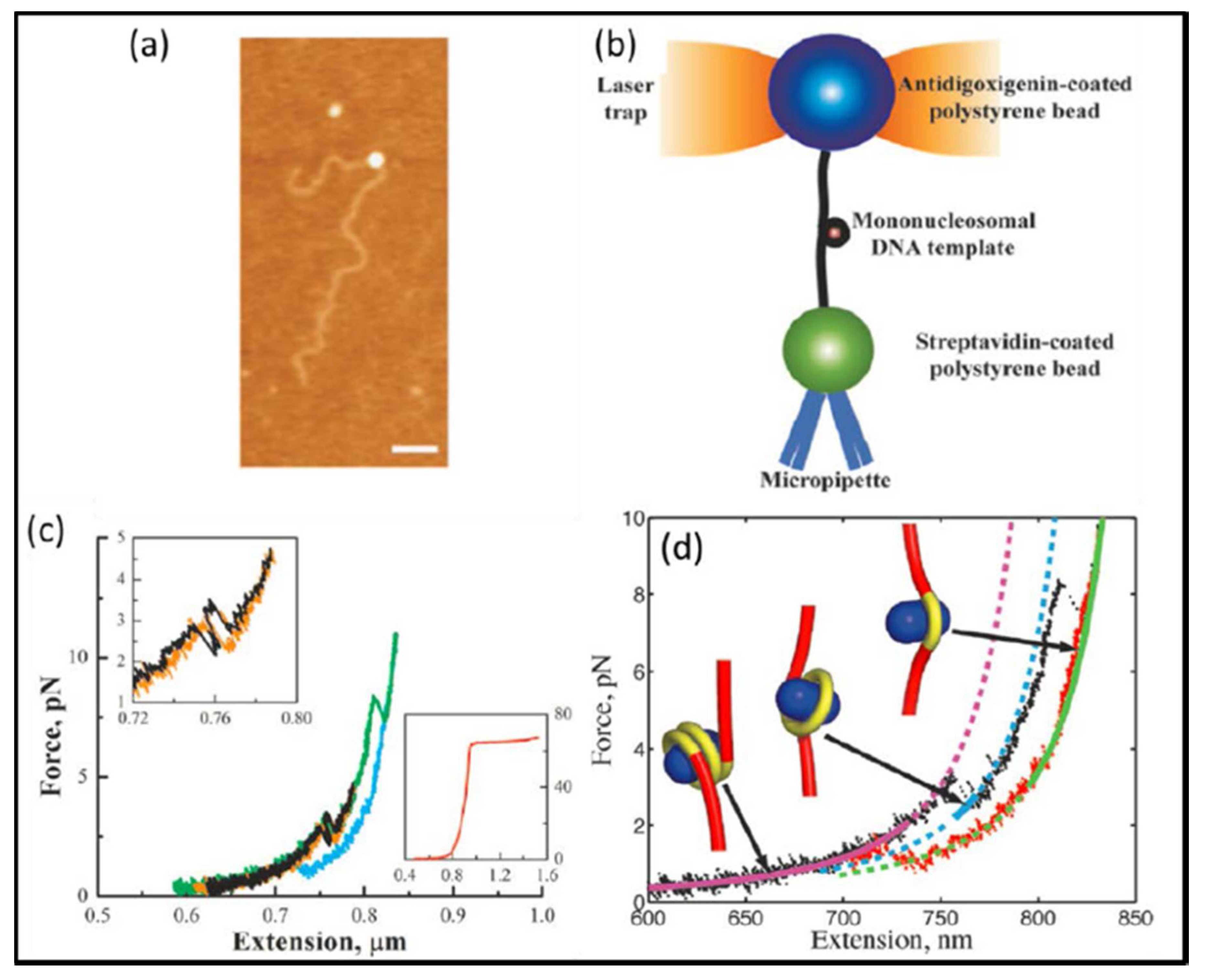 Micromachines 09 00232 g018