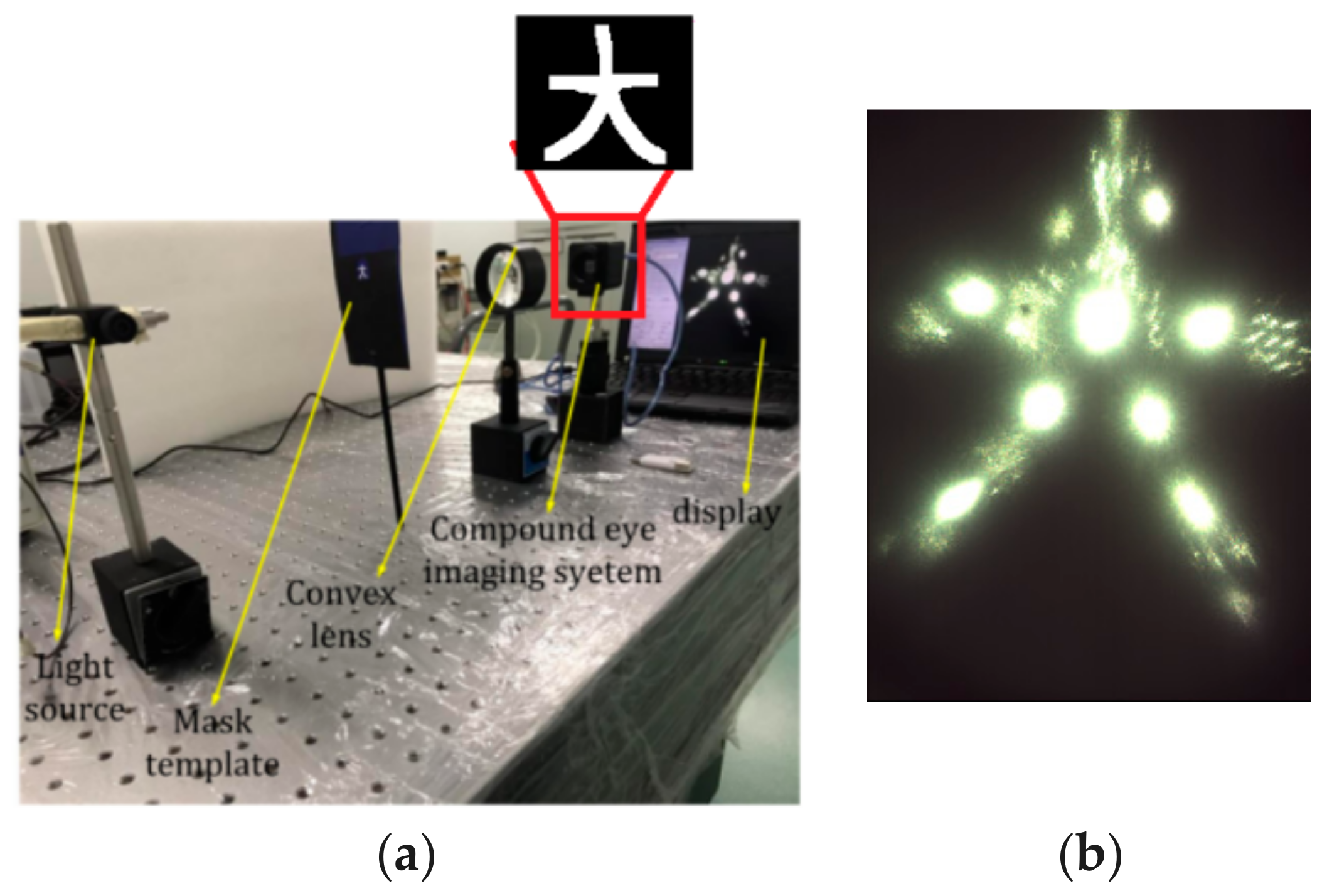 Micromachines 09 00238 g015
