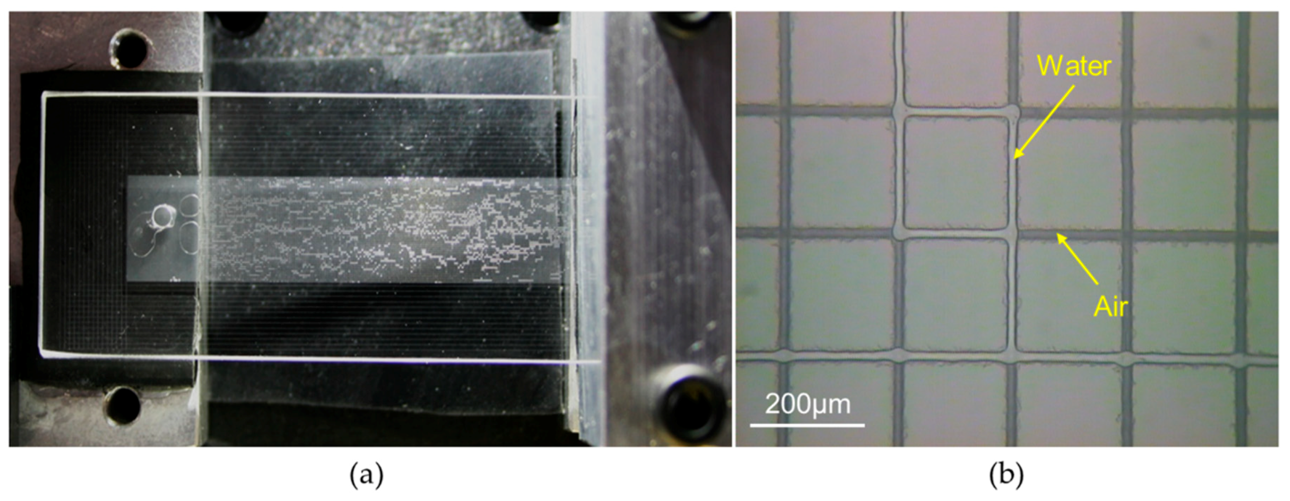 Micromachines 09 00409 g010