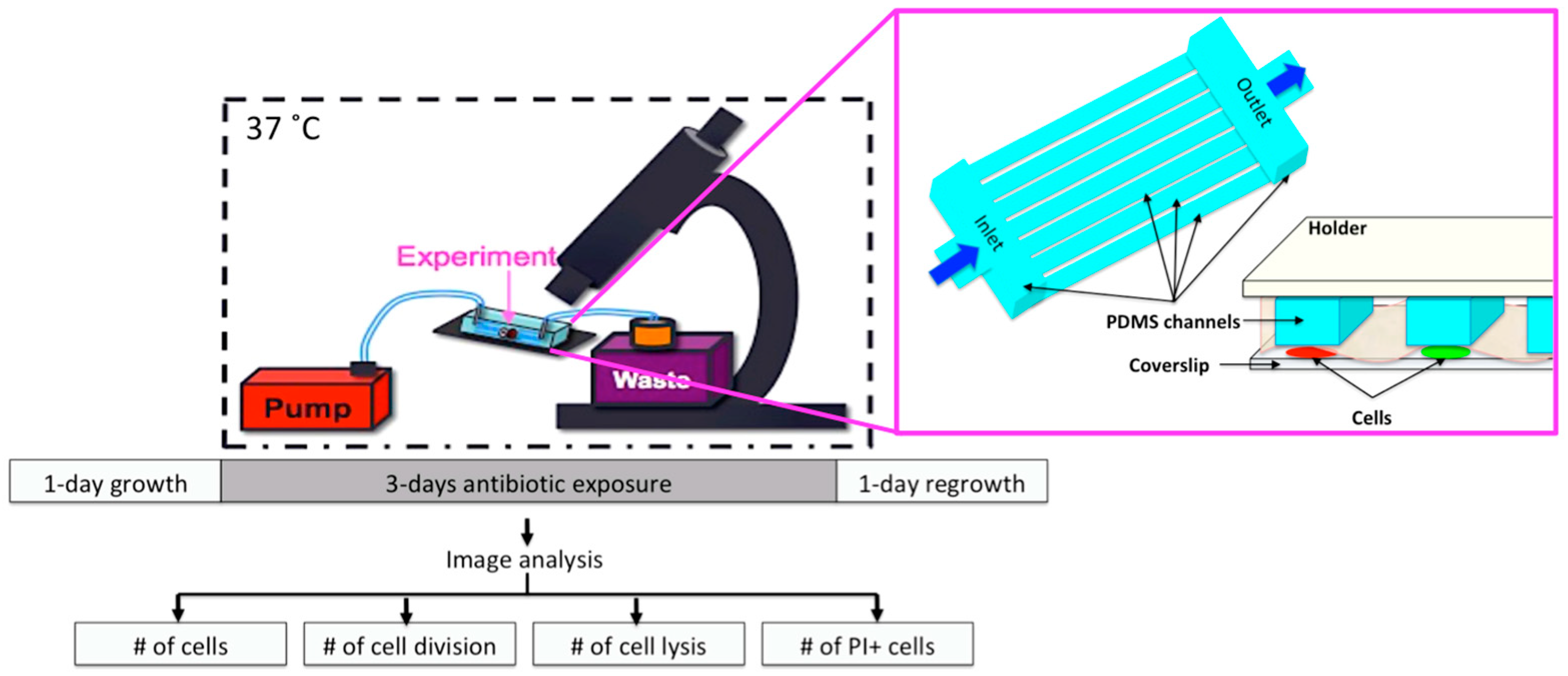 Micromachines 09 00561 g001