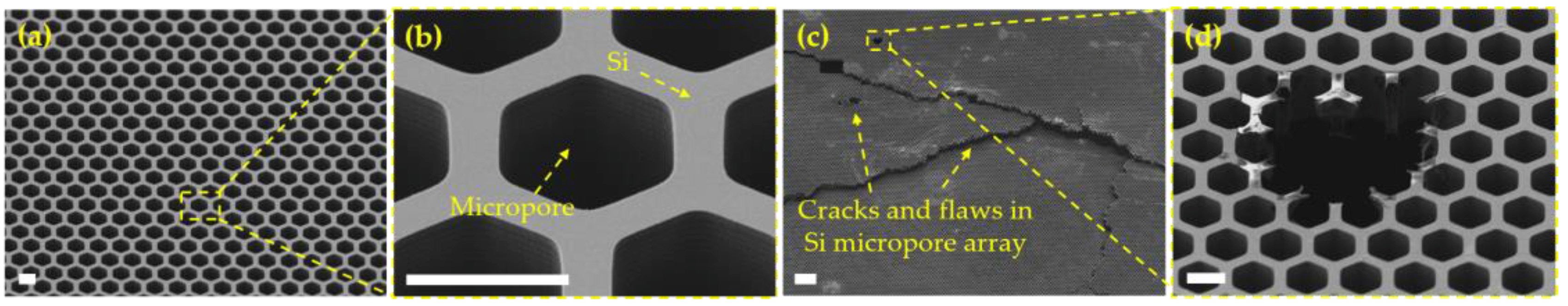 Micromachines 09 00620 g003