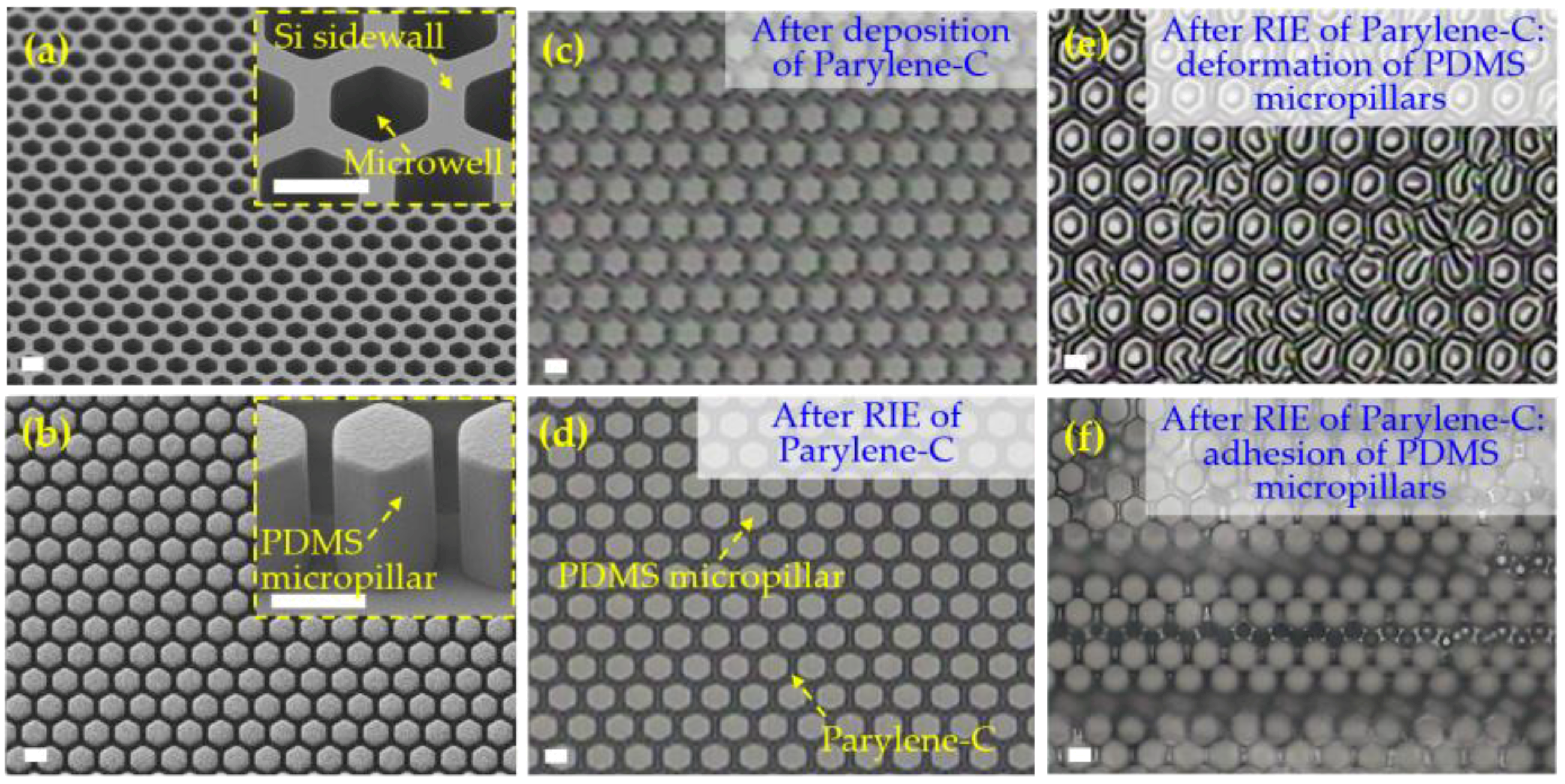 Micromachines 09 00620 g005