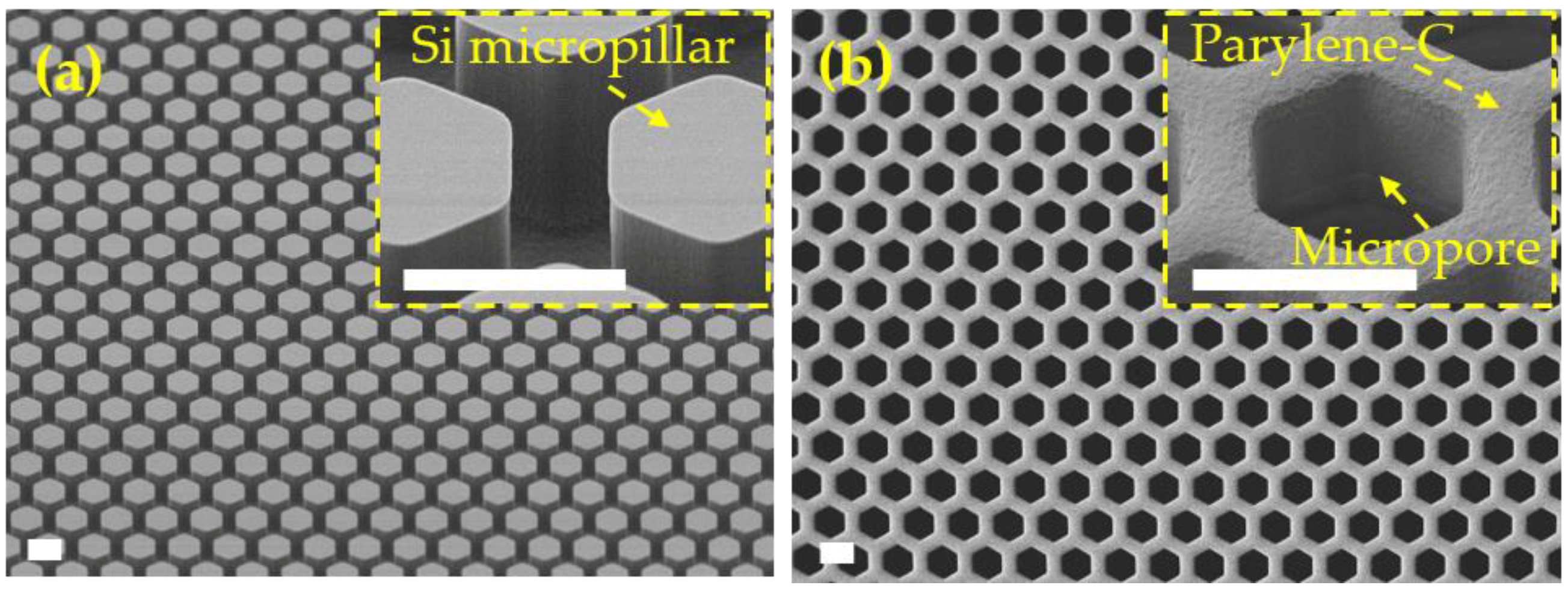 Micromachines 09 00620 g006