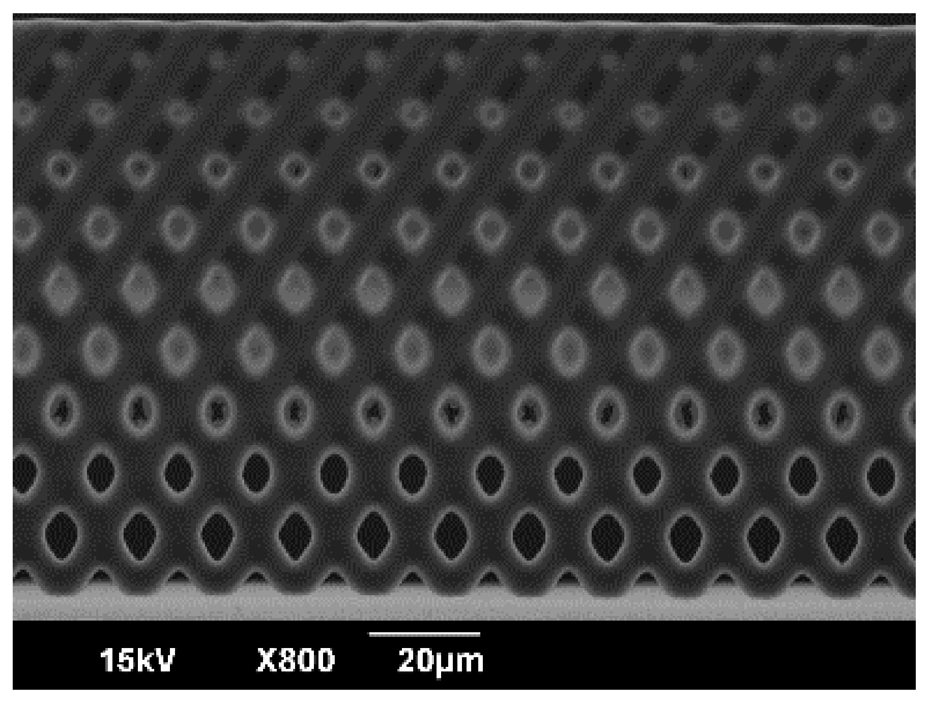 Micromachines 09 00681 g005