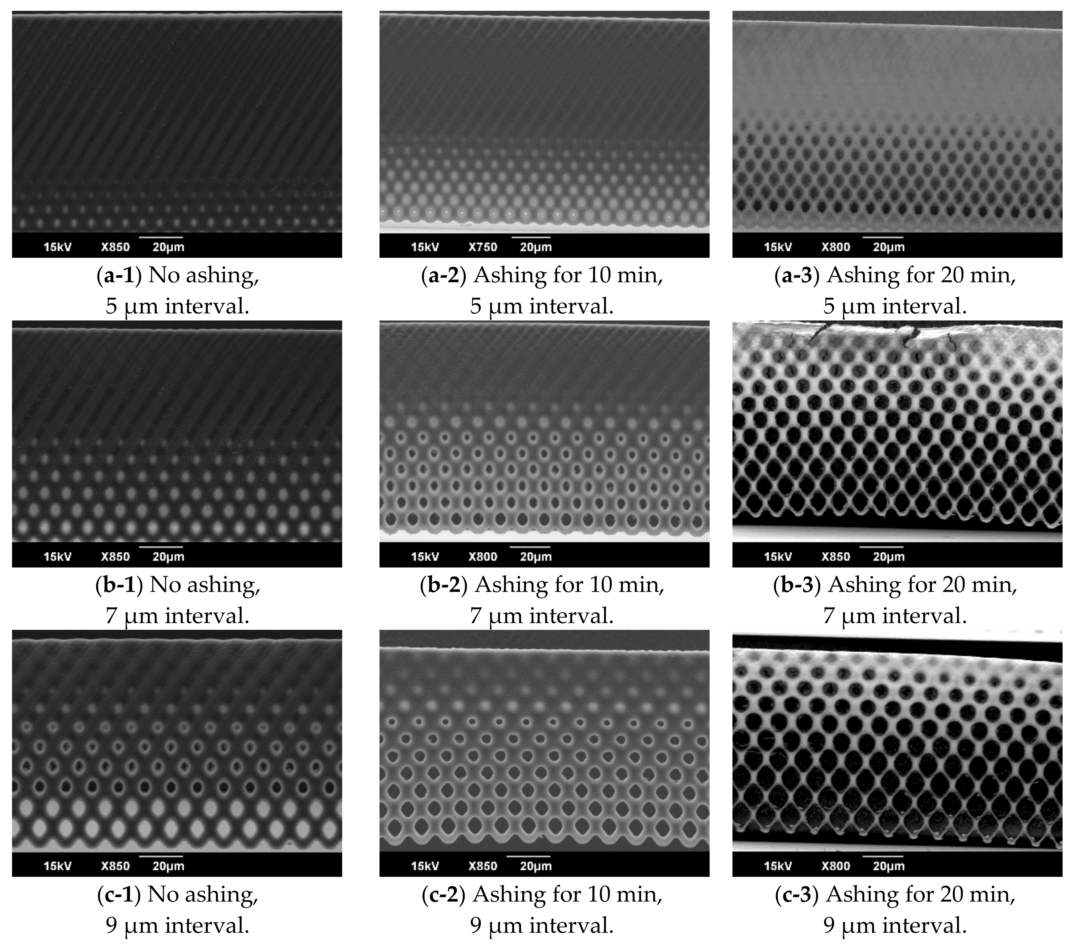 Micromachines 09 00681 g007