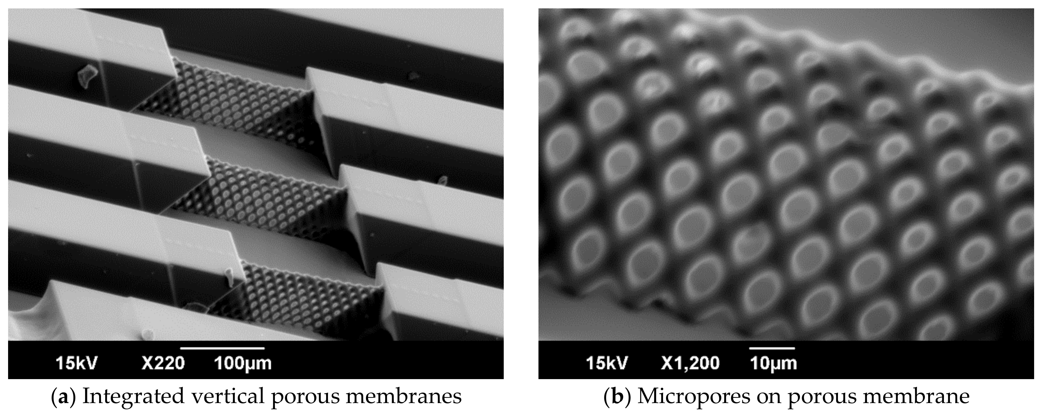 Micromachines 09 00681 g009