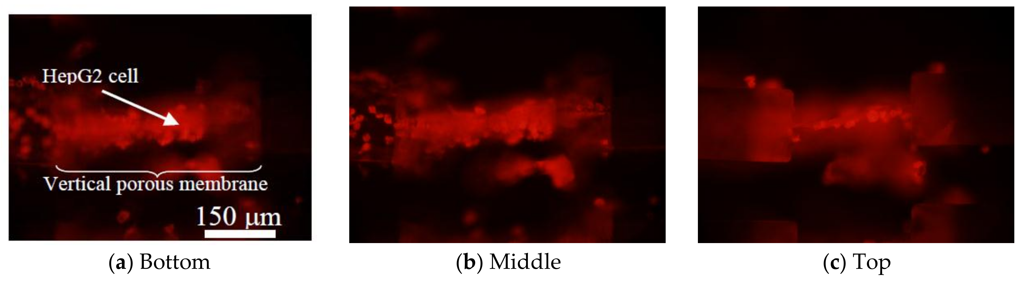 Micromachines 09 00681 g010