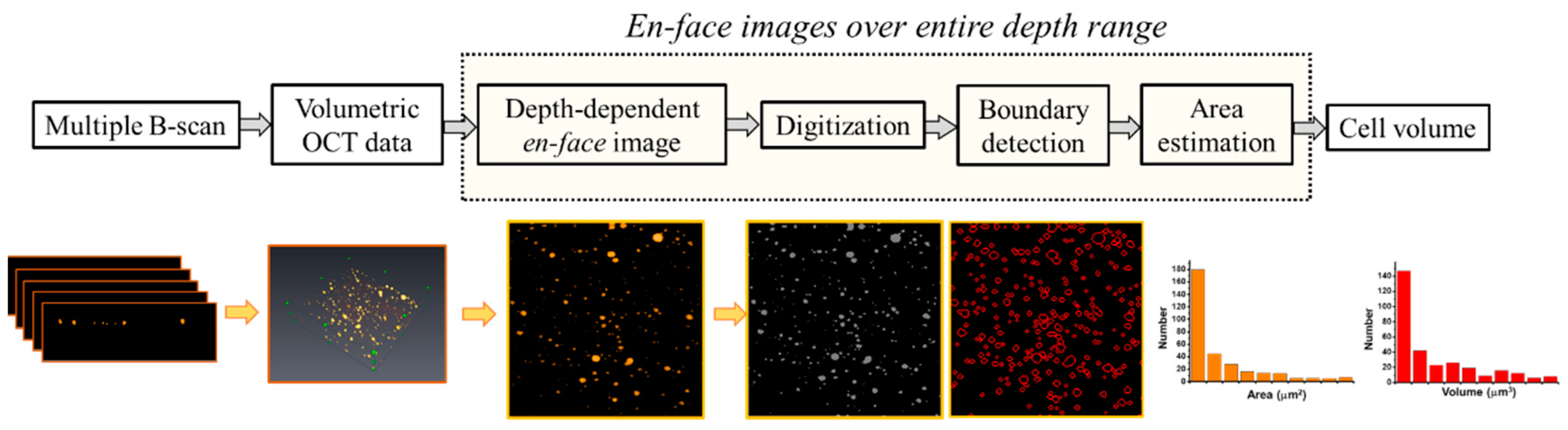 Micromachines 10 00035 g003