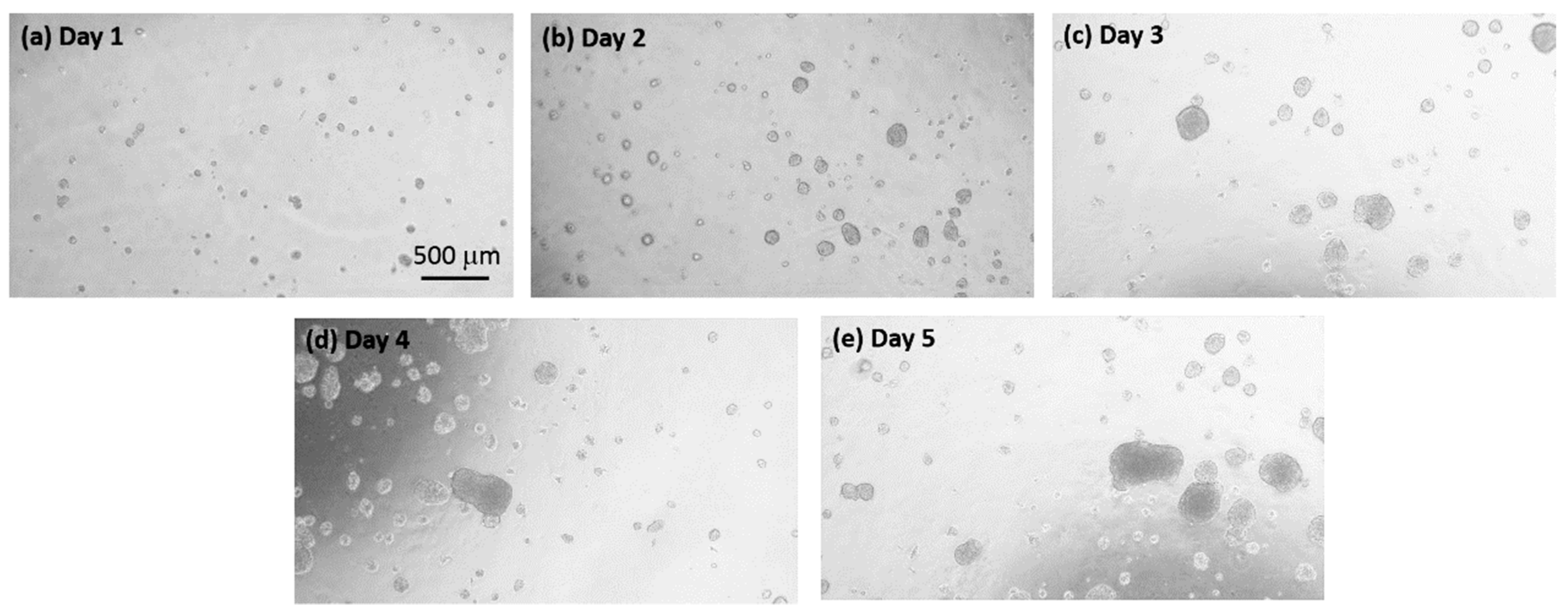 Micromachines 10 00035 g004