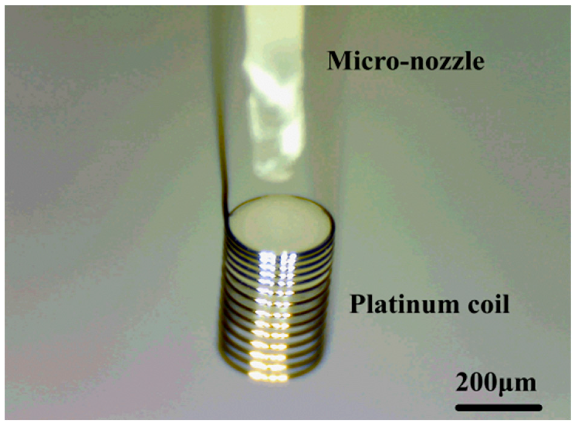 Micromachines 10 00071 g006