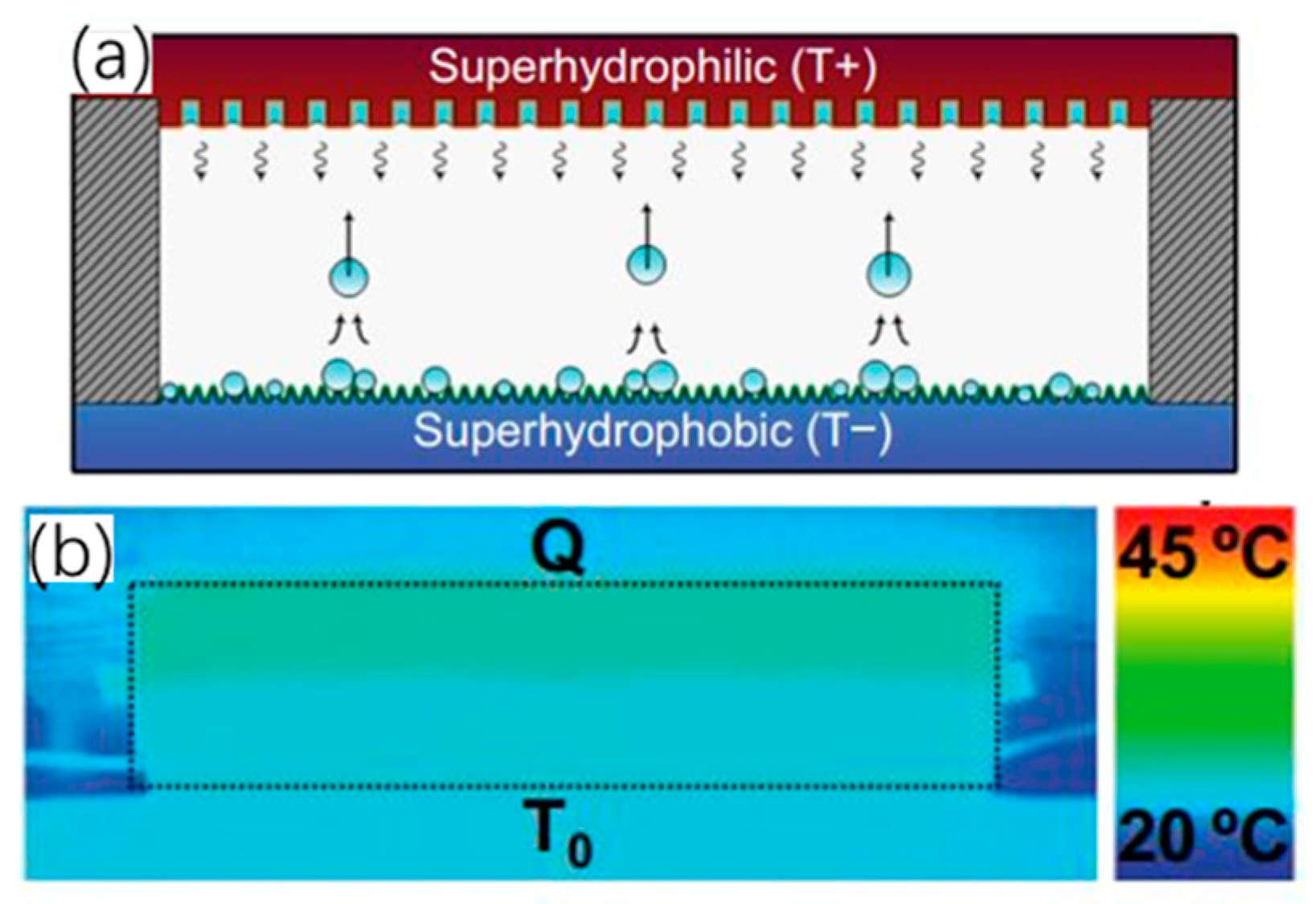 Micromachines 10 00089 g006