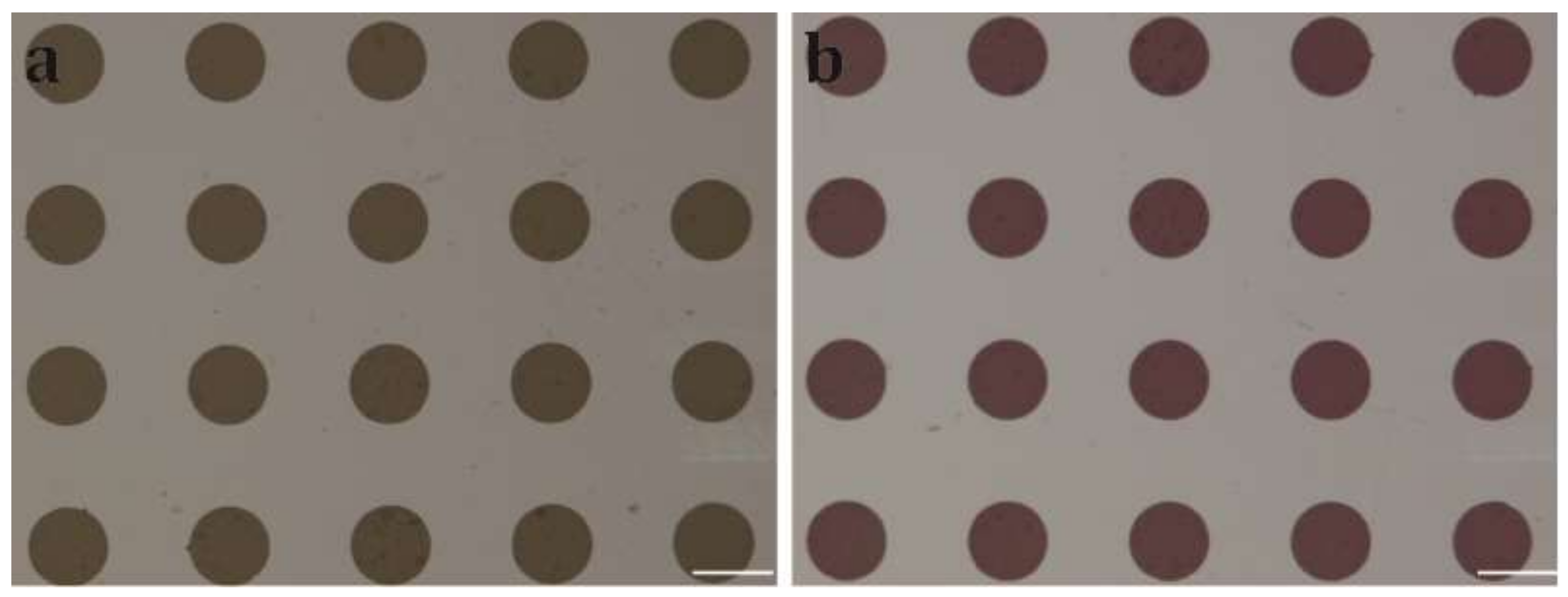 Micromachines 10 00173 g006